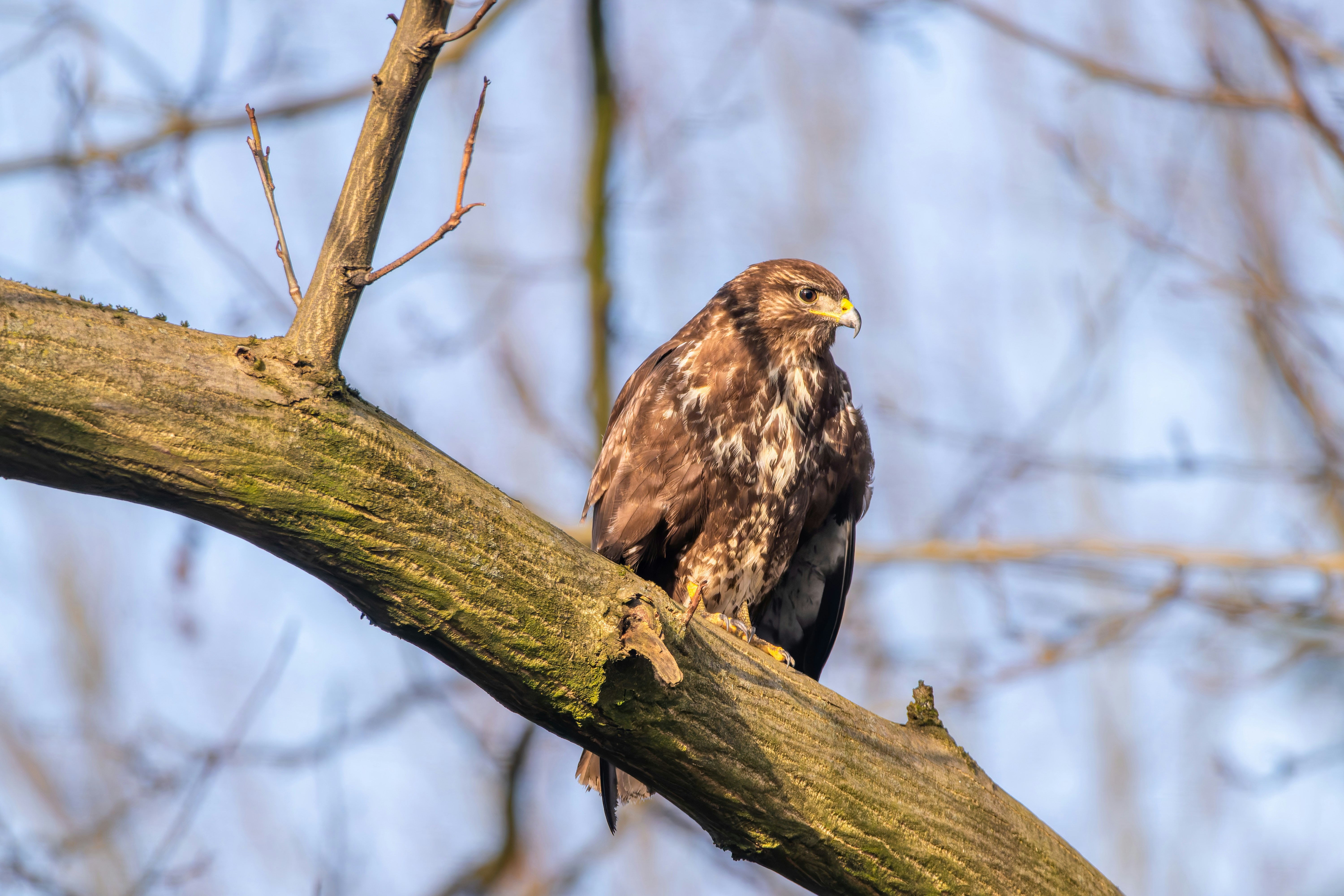 Photo by siegfriedpoepperl