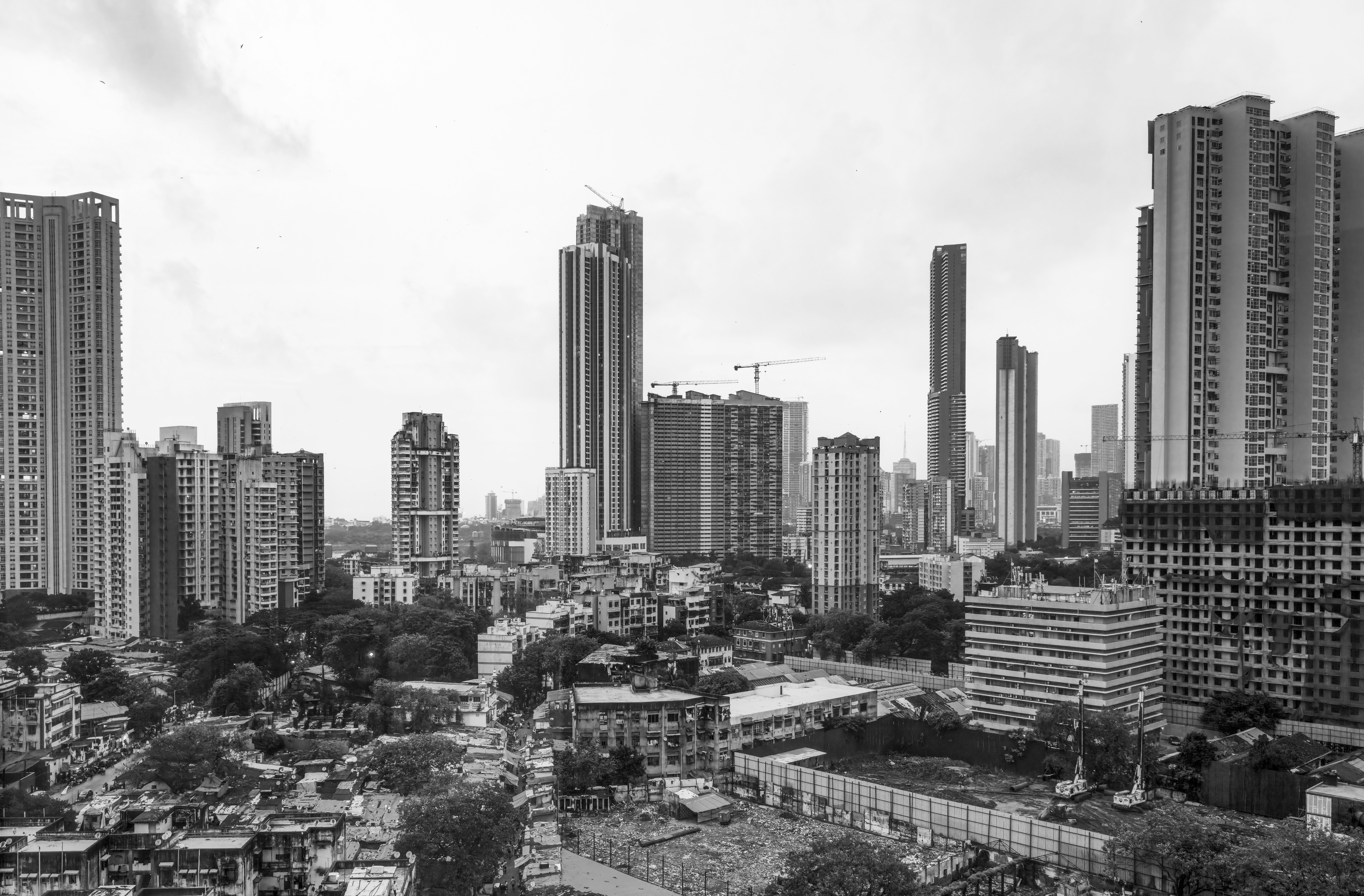 Skyscrapers and buildings in a city skyline