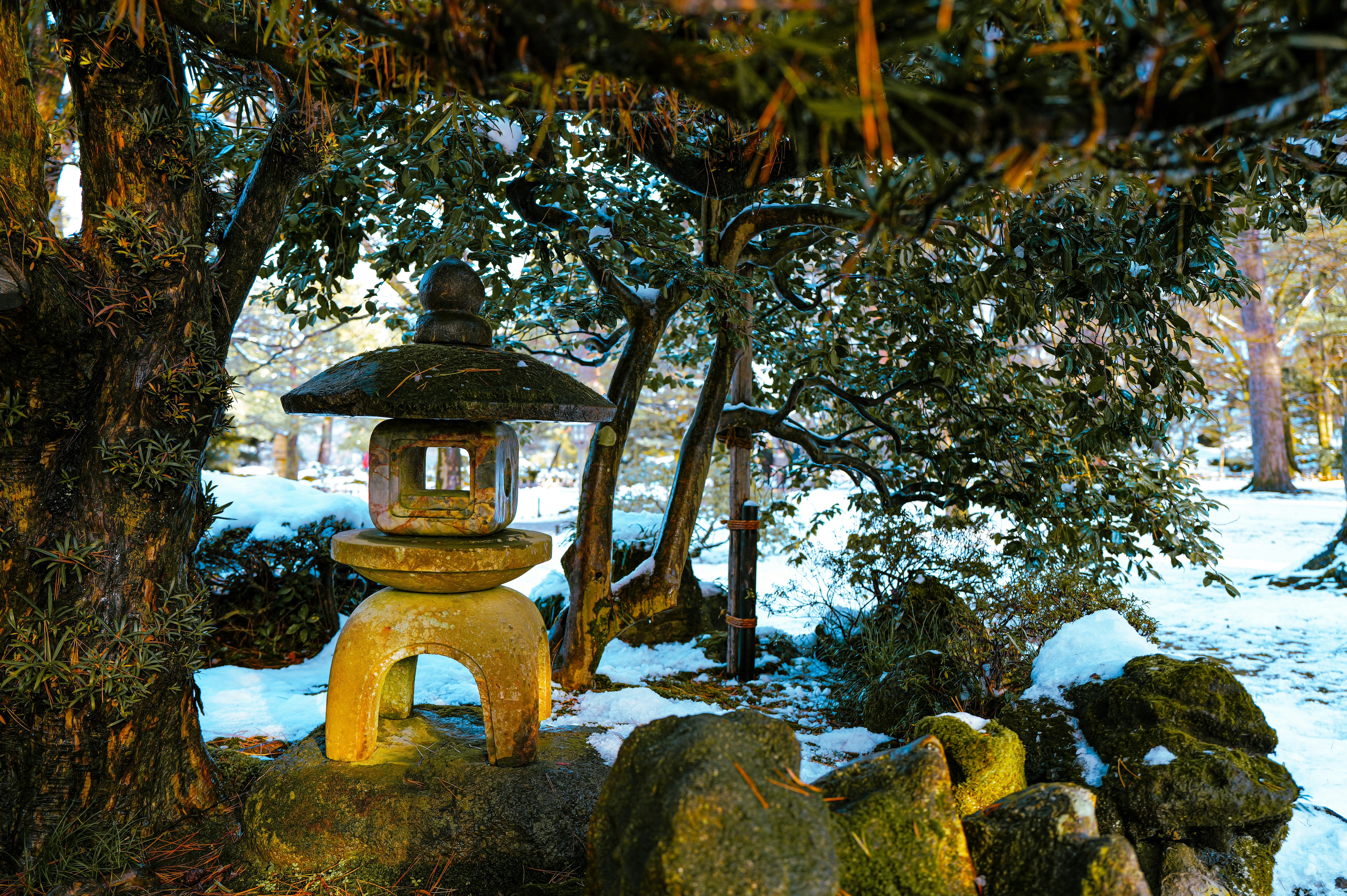 Photo by soflightsto