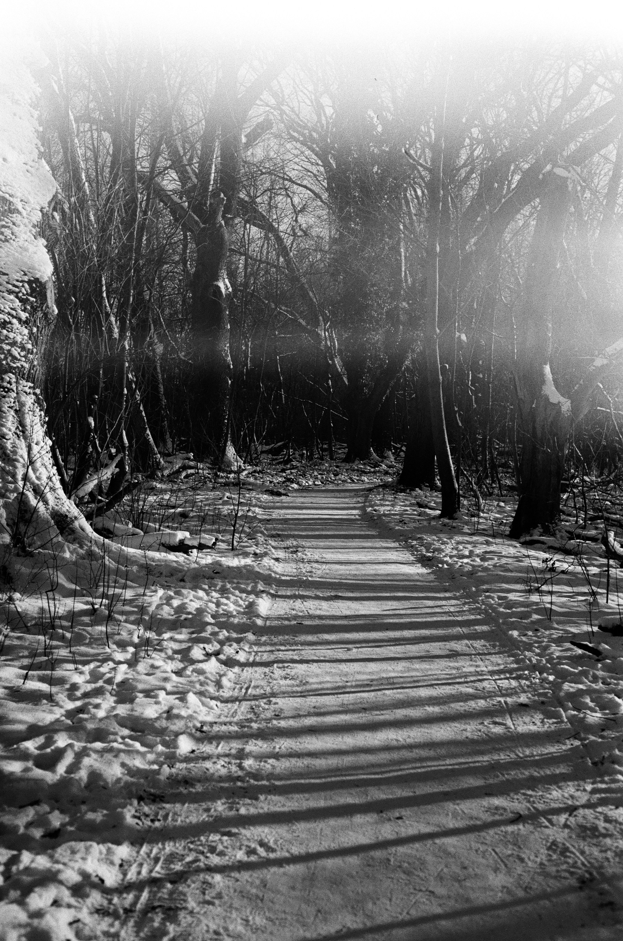 Photo by _kseniademenko