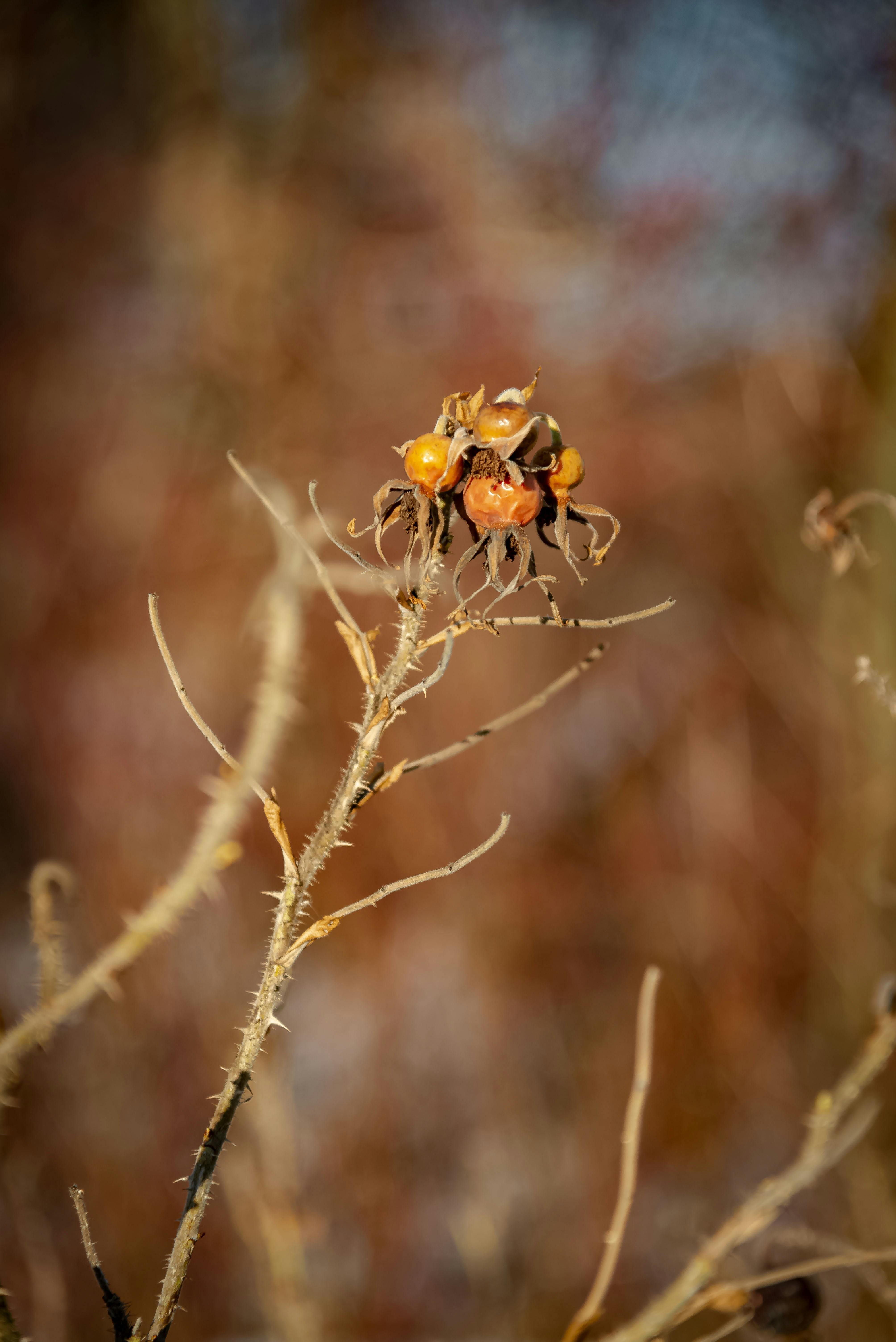 Photo by malwinanogaj