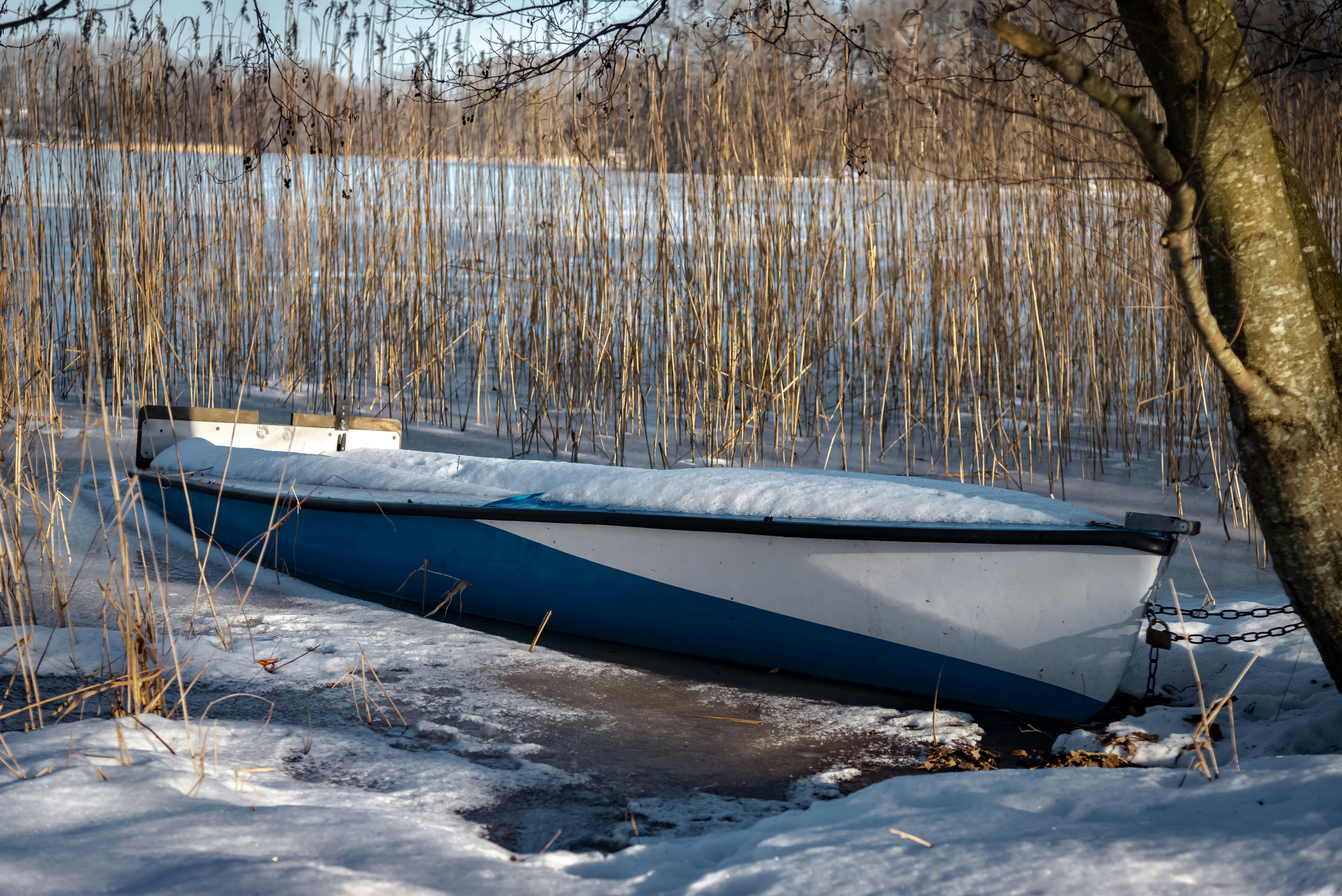 A blue and white boat rests on a snowy shore.