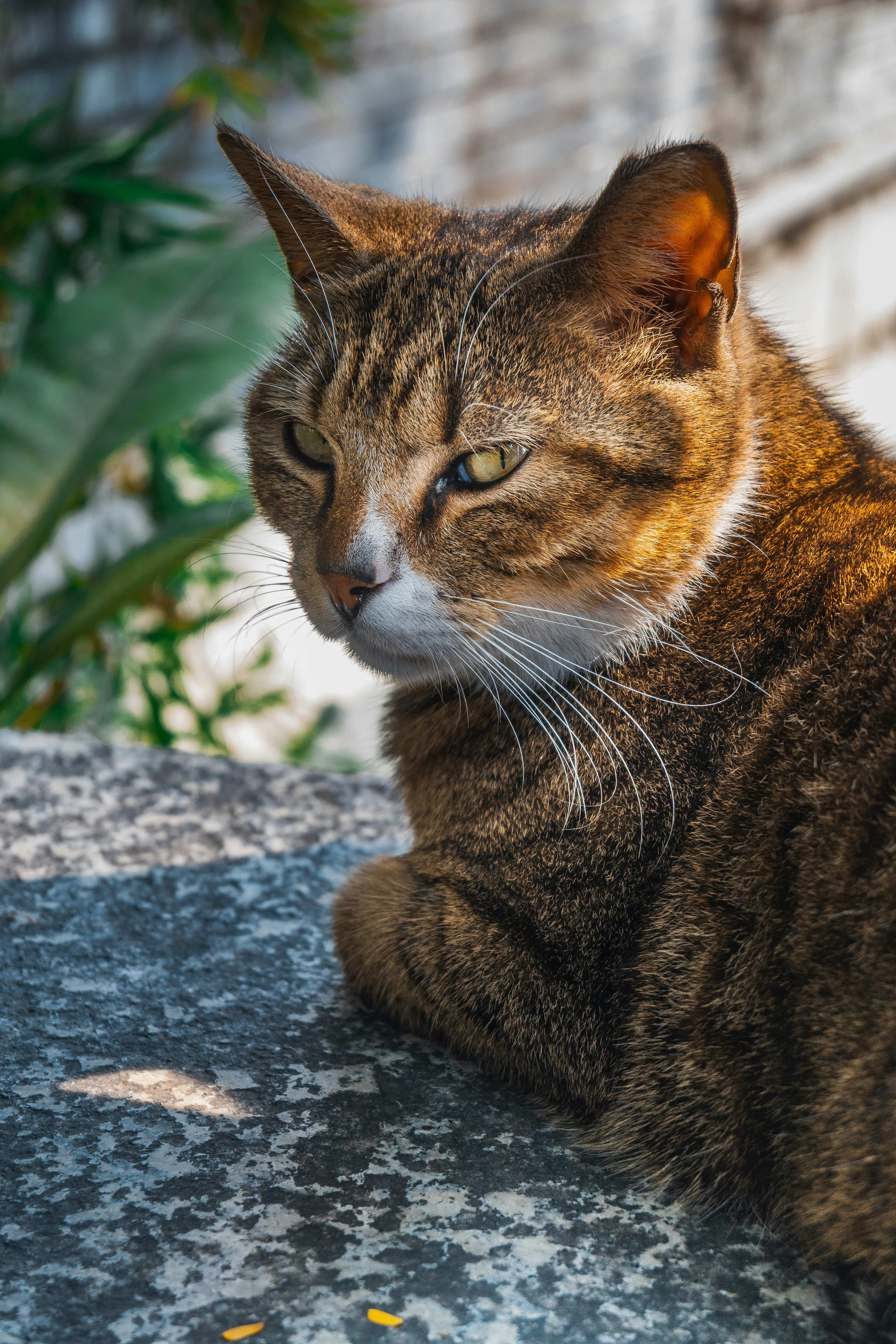 Photo by 1989folklore