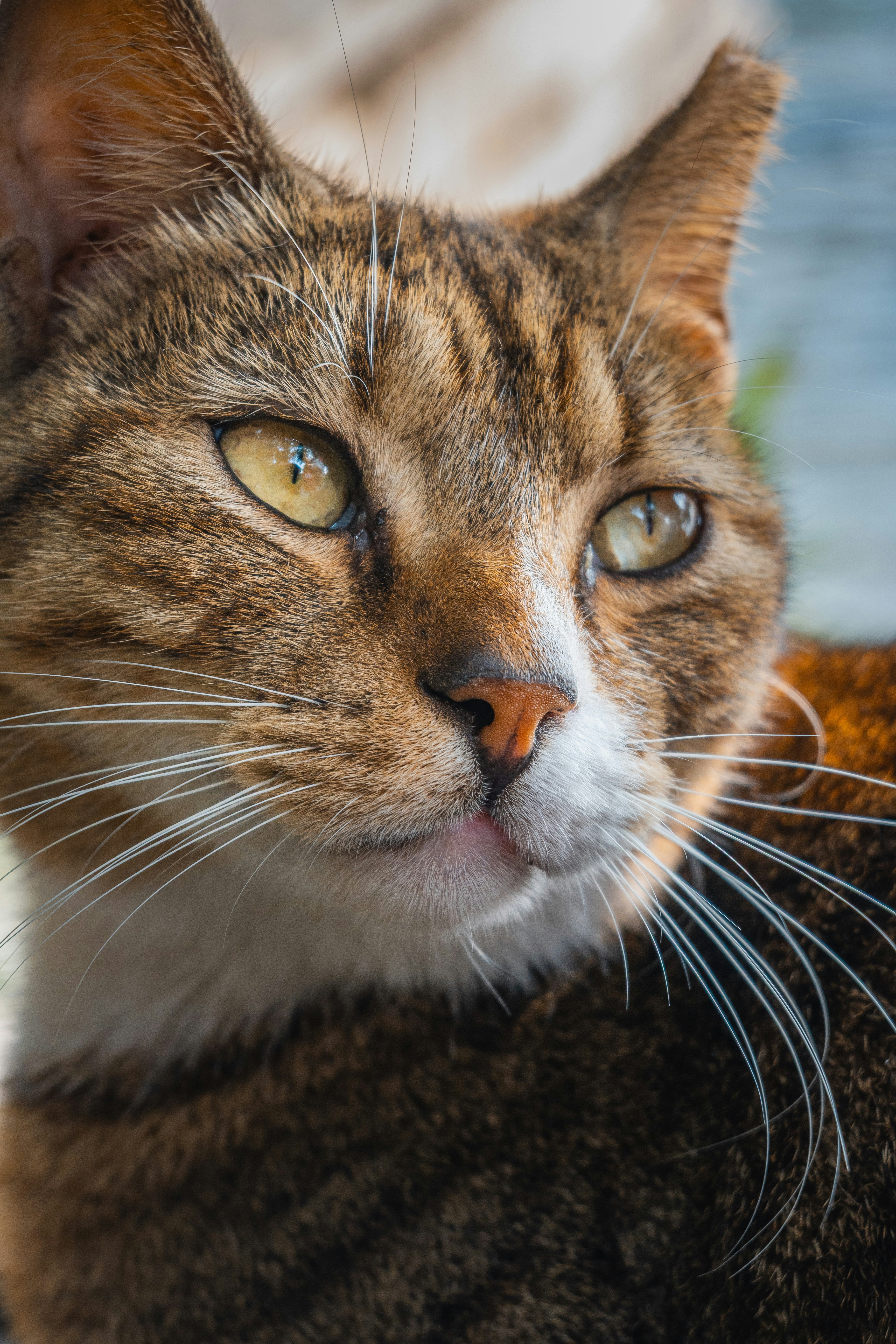 Photo by 1989folklore