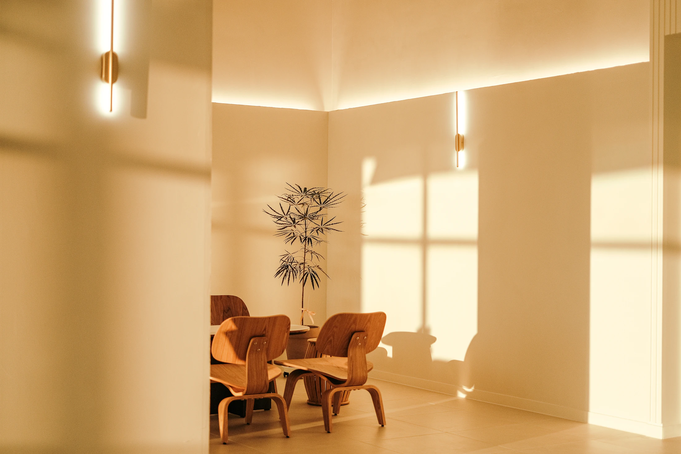 Elegant dining room with dining table, chairs and warm architectural interior styling
