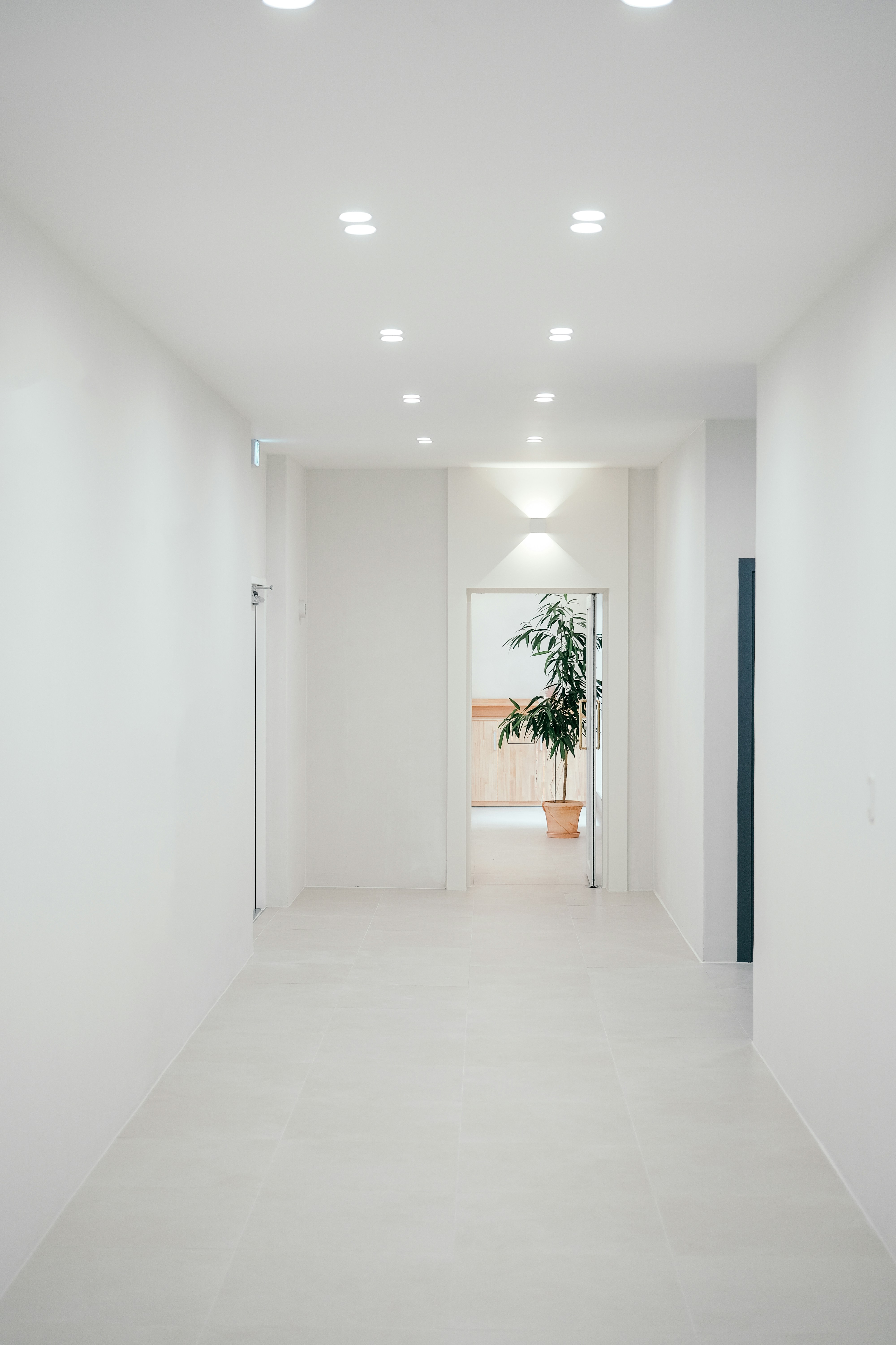 Photo by insungpandora