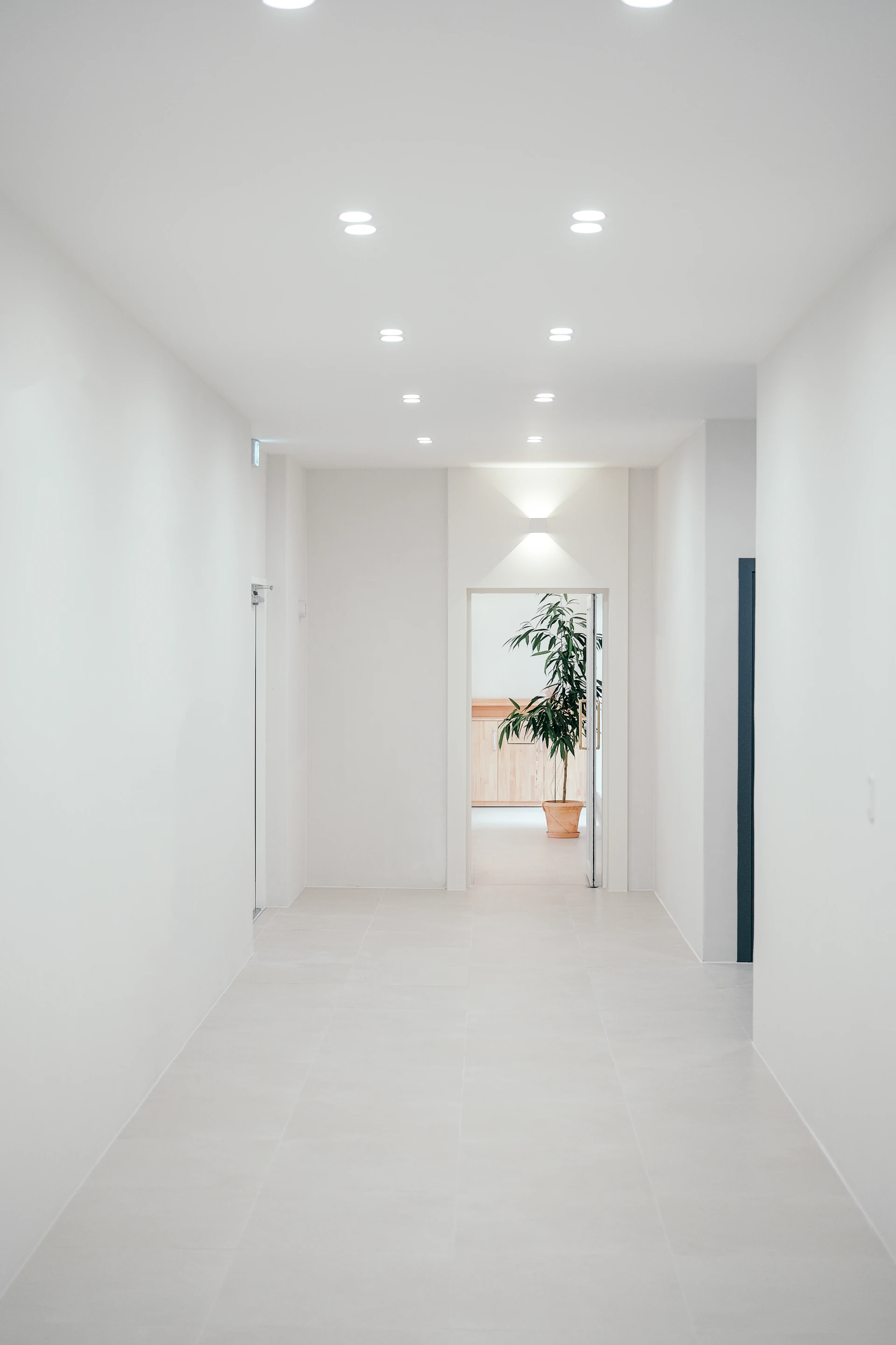 Modern white hallway with potted plant and doorway.