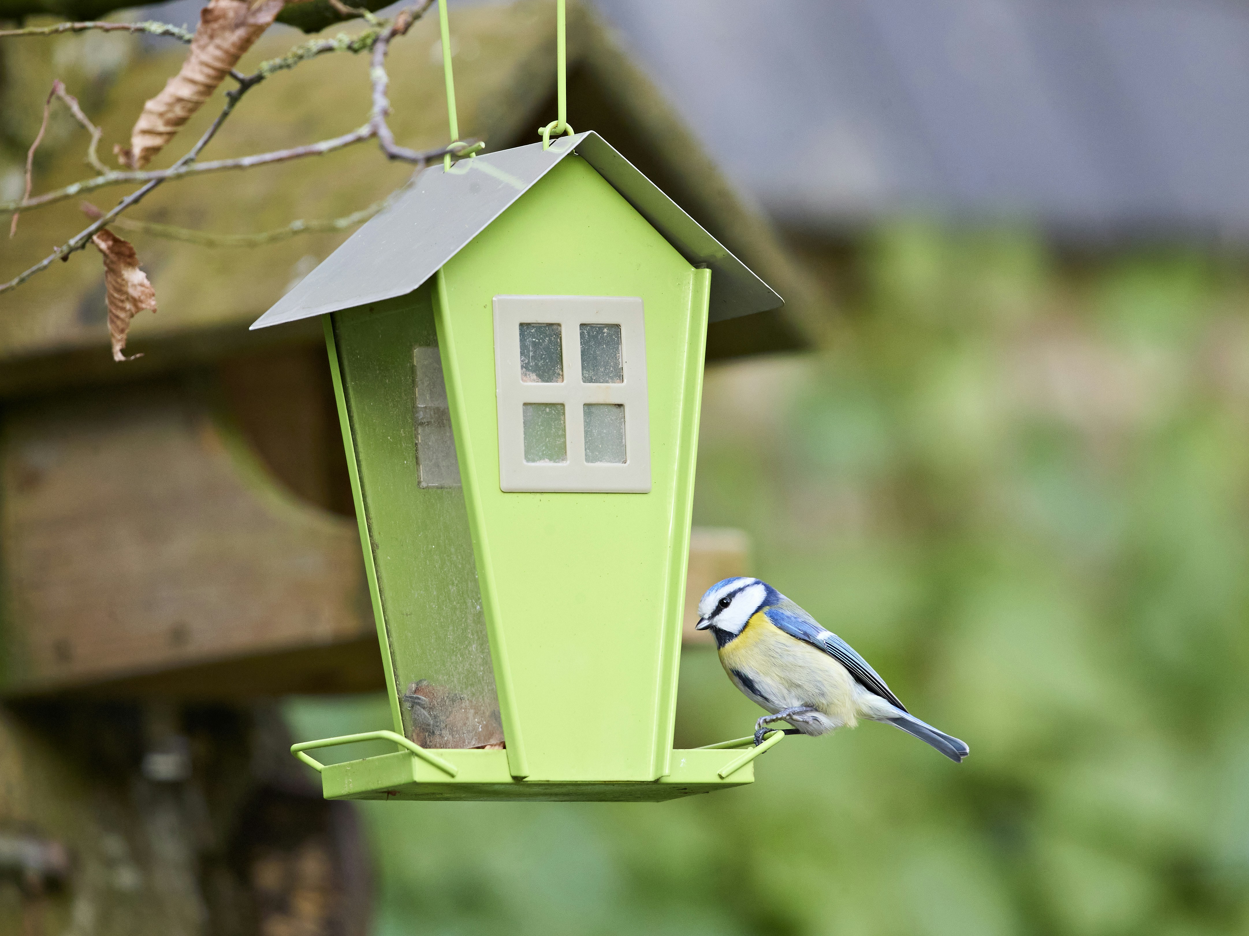 Photo by erwinbosman