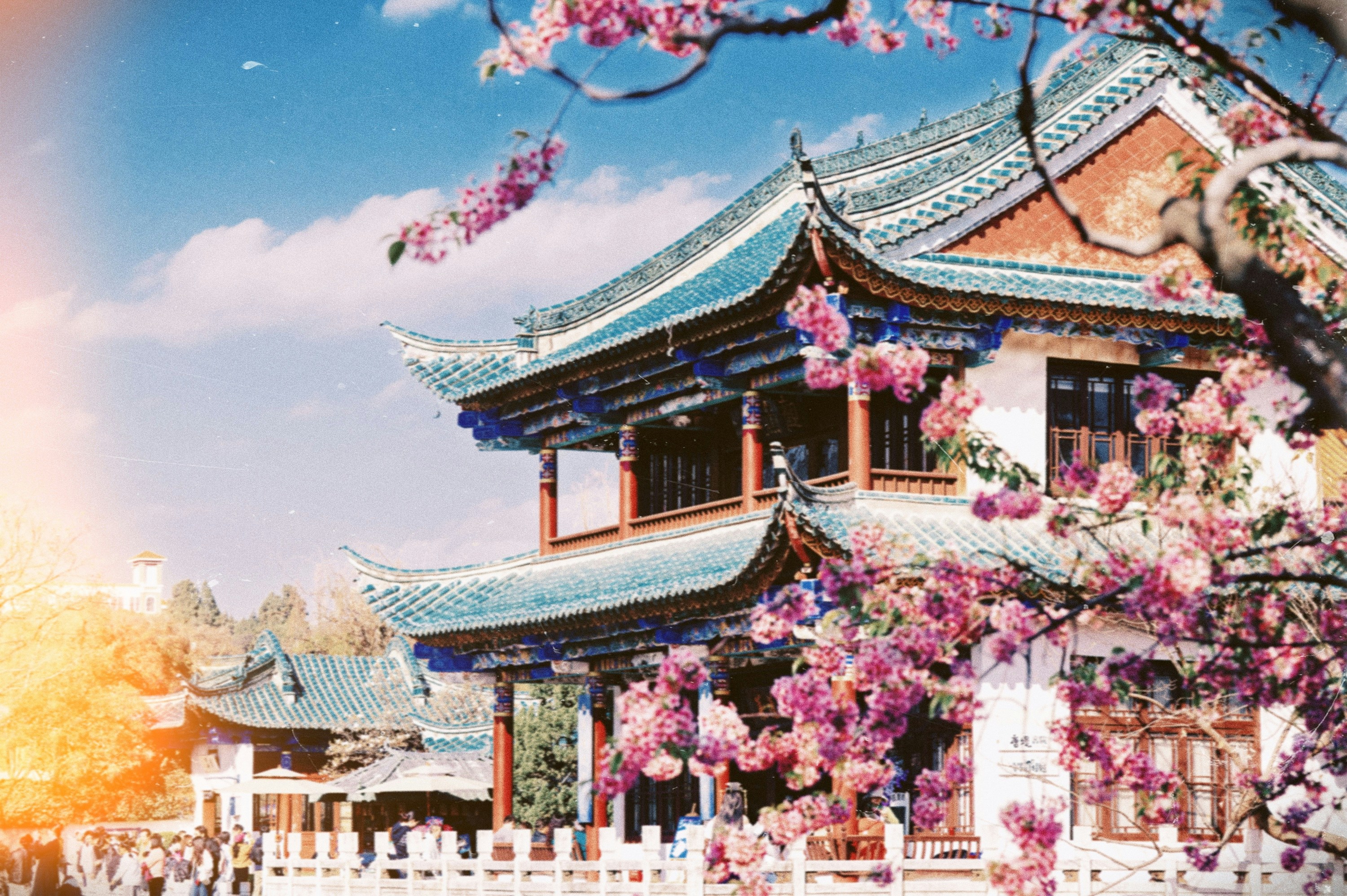 Photo by vincent_tint