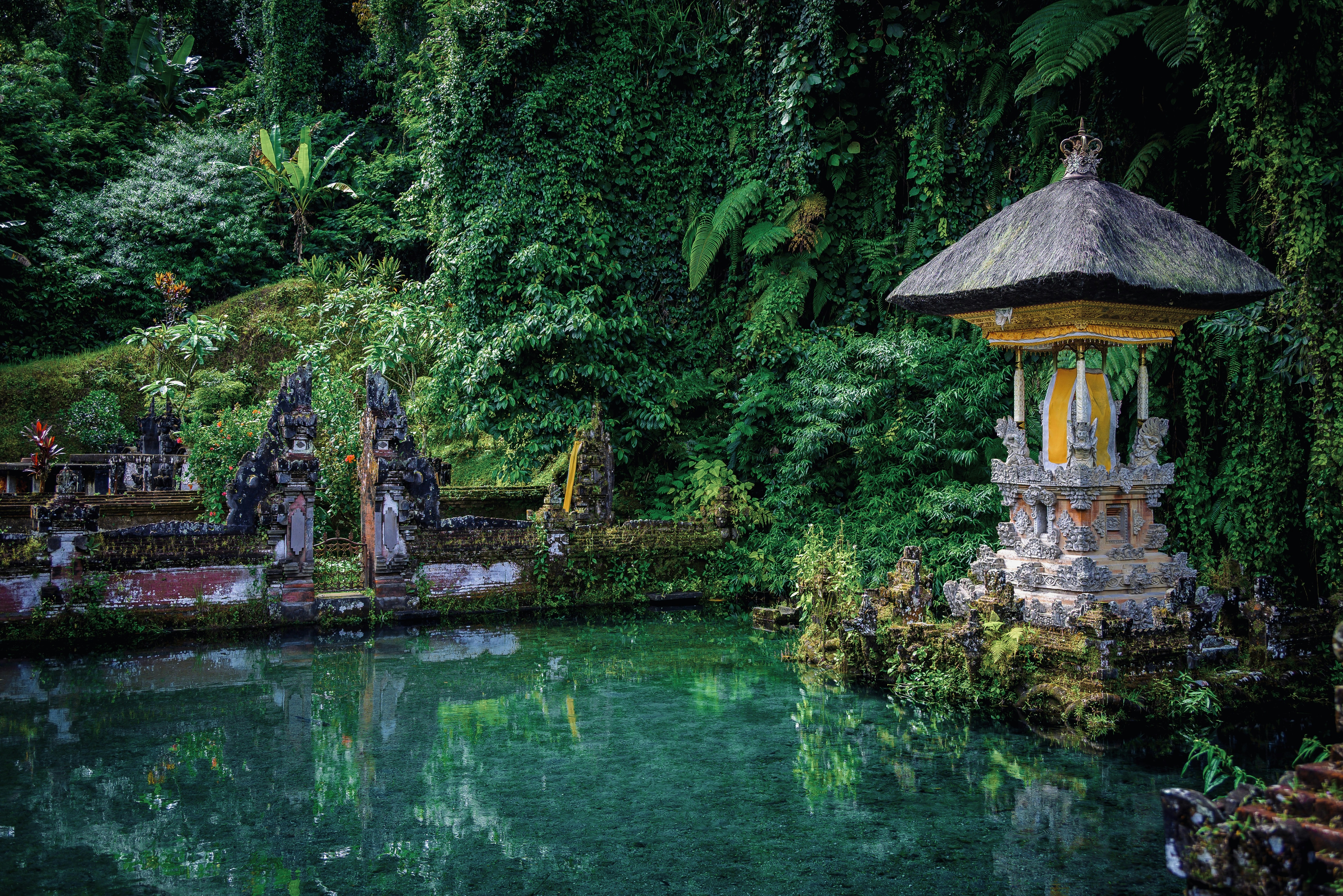 Tegalalang Rizsterasz