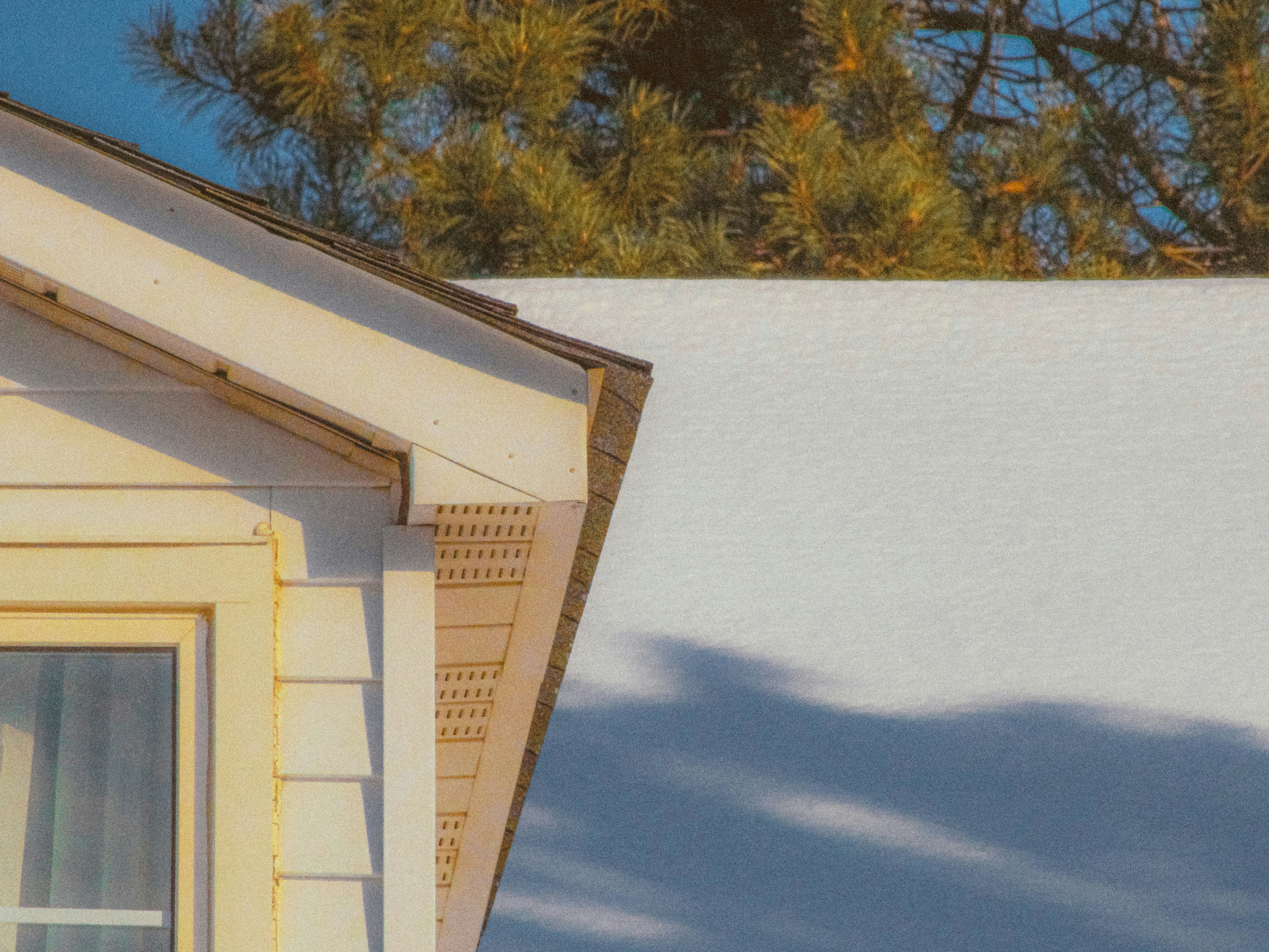 Photo by linusbelanger