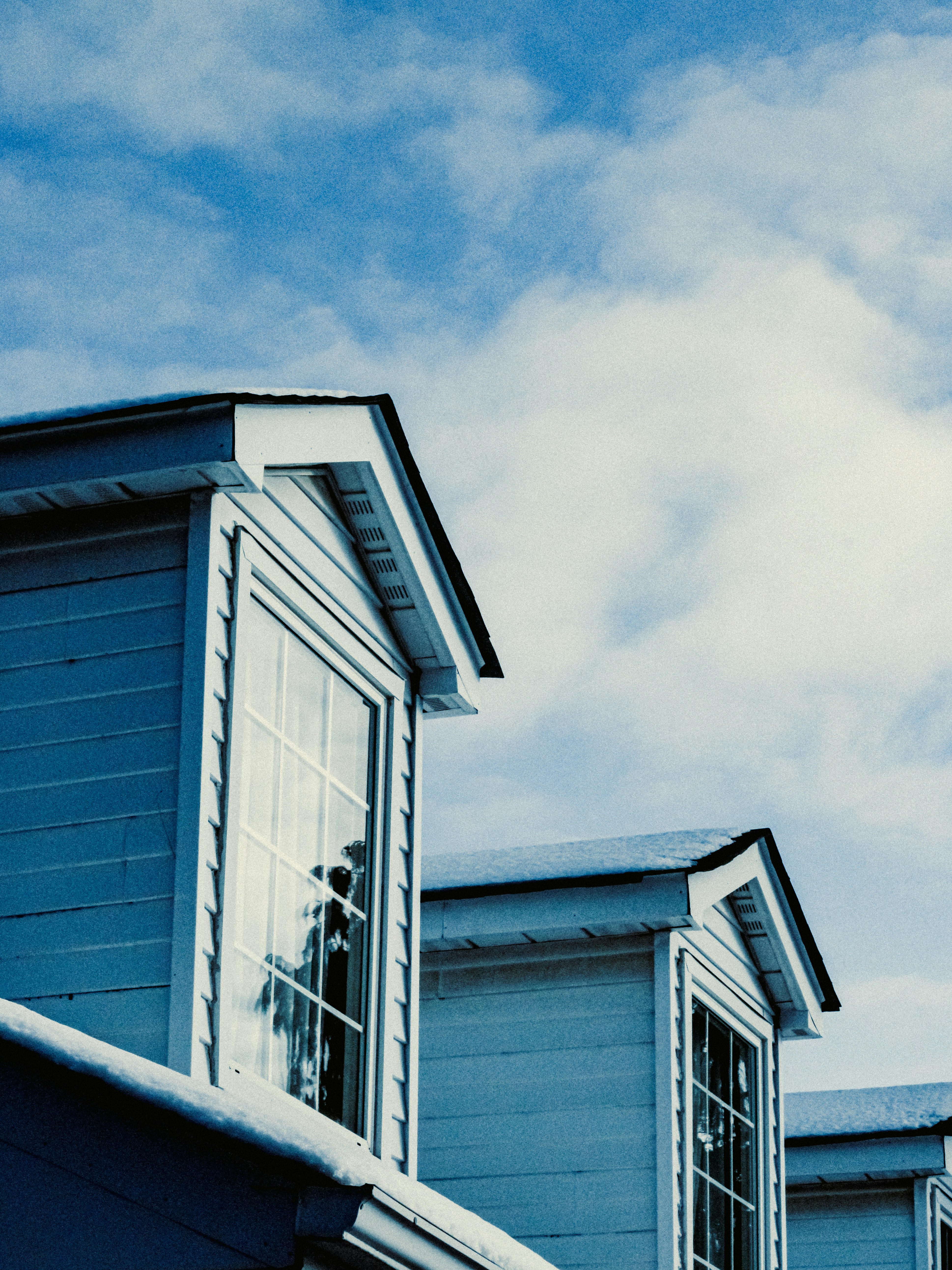 Photo by linusbelanger