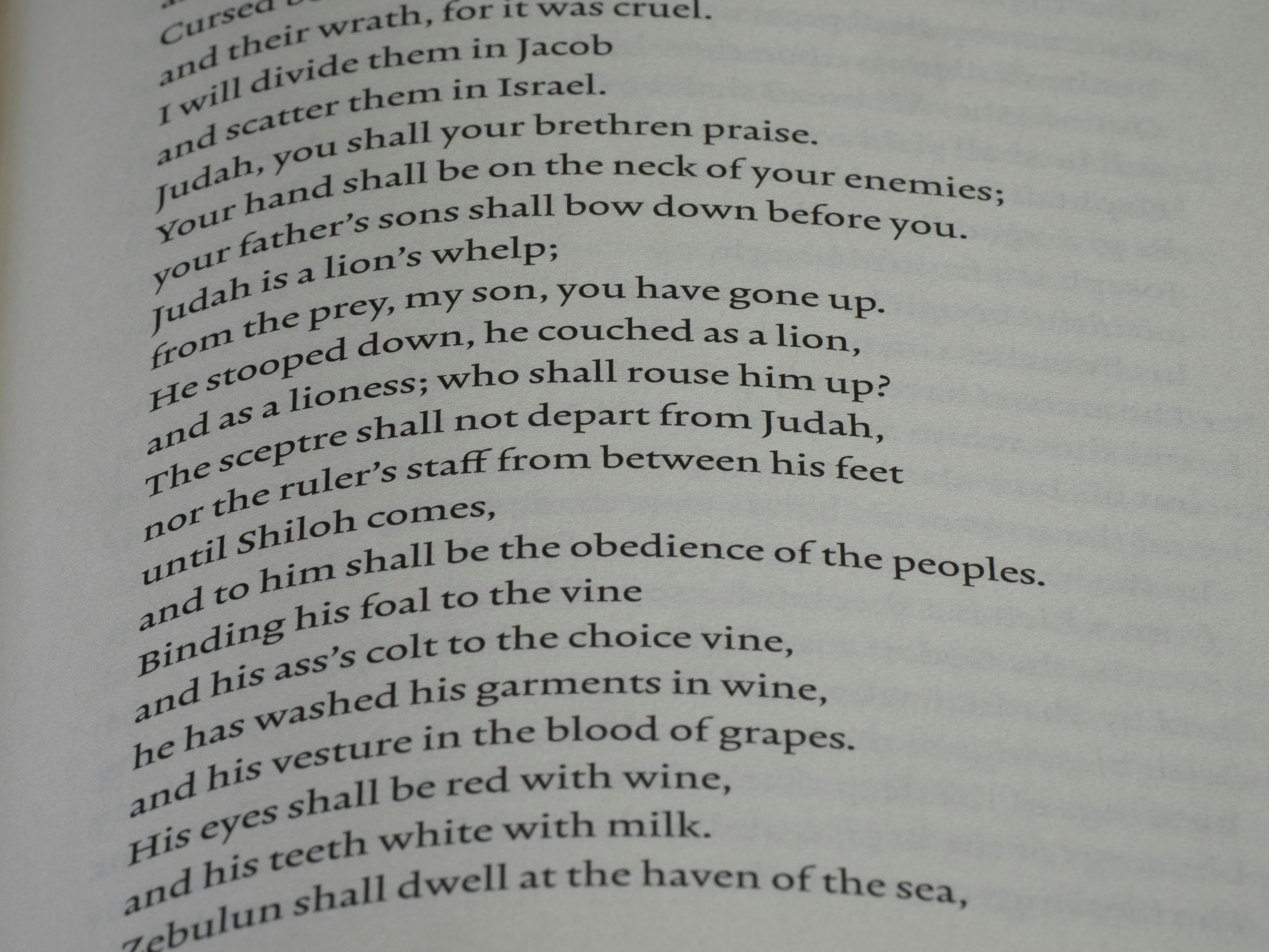 Close-up of an open book with text.