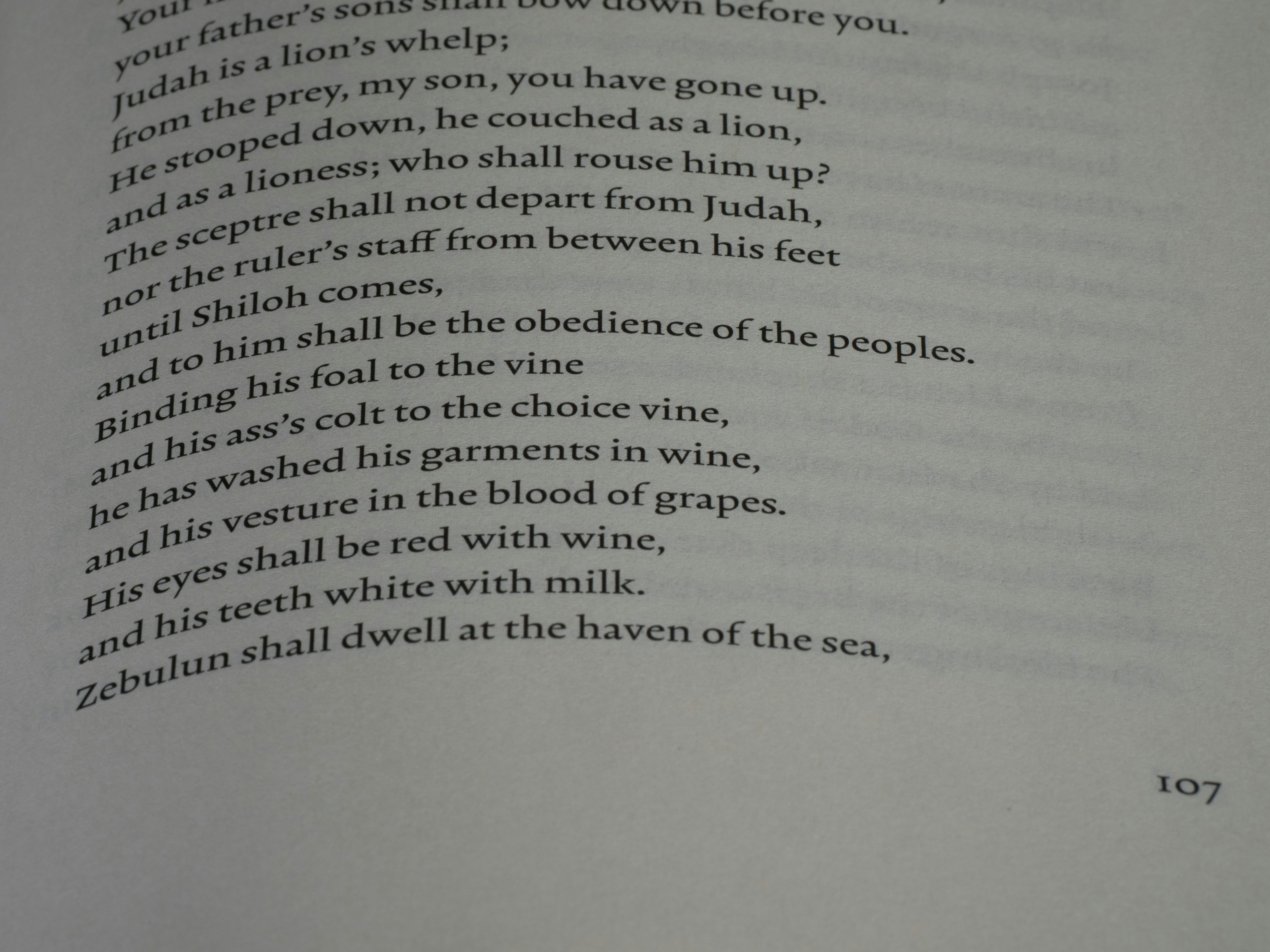 Unraveling the Puzzles of Literature: A Guide to Literary Wordplay