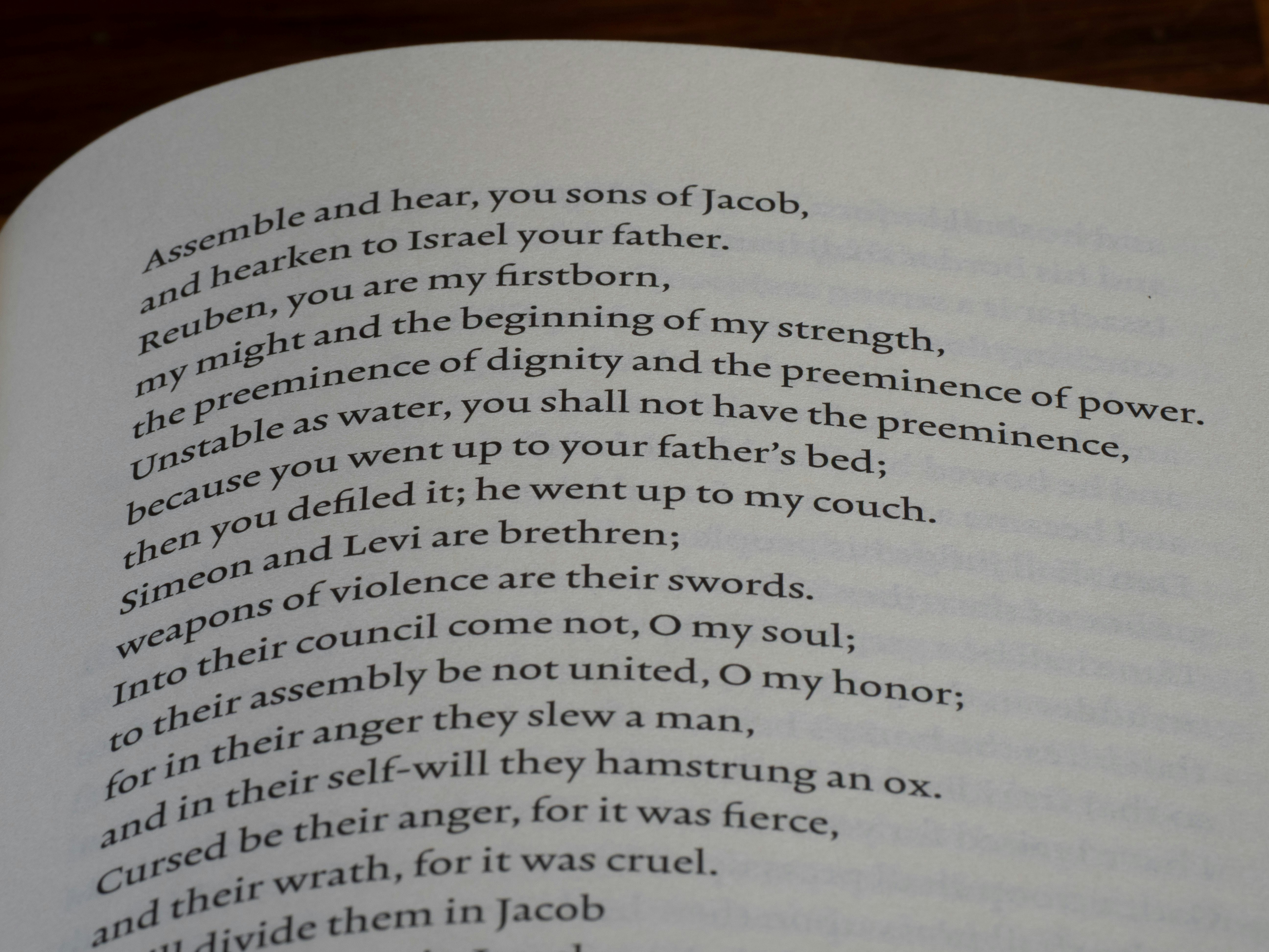 Text from a book about jacob's sons