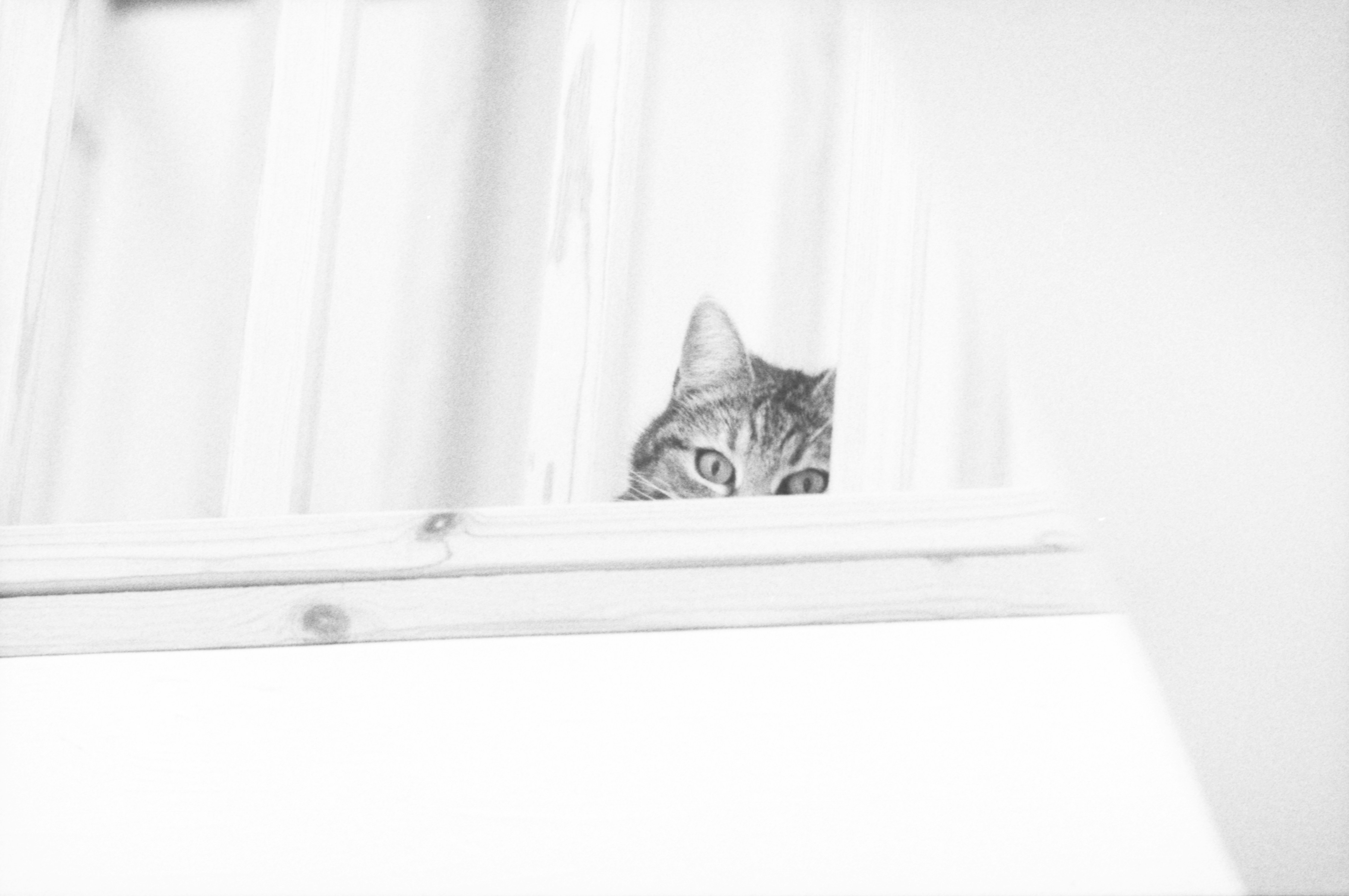 Photo by jellecoelingh