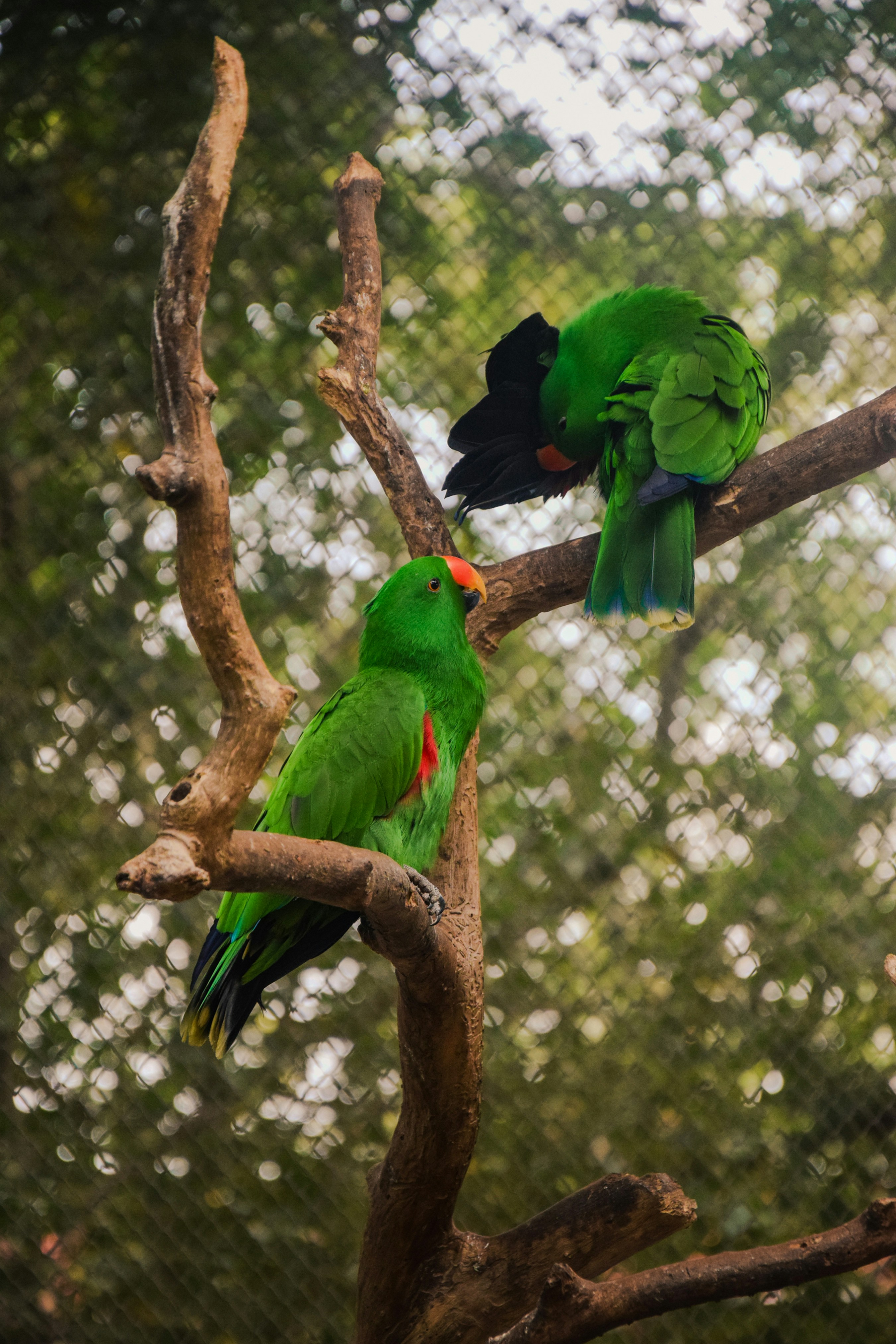 Photo by kamal_anand