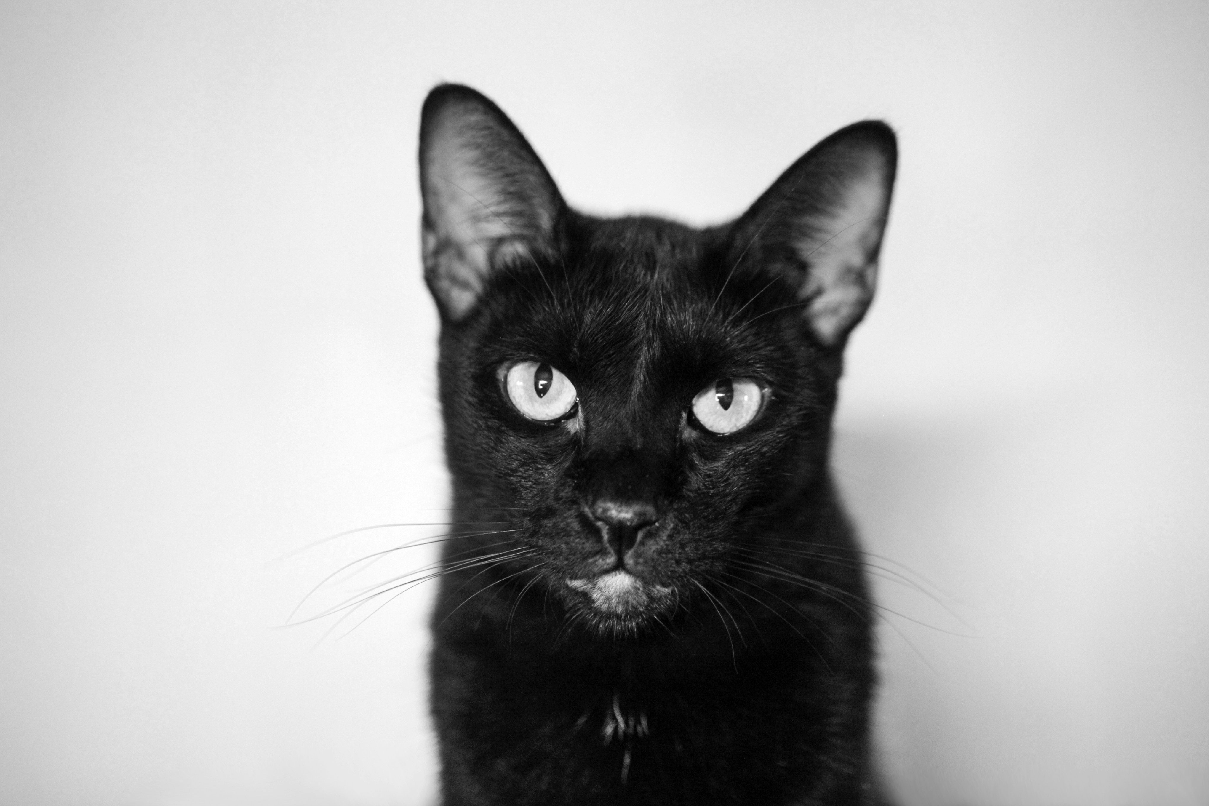 Photo by ricardodeavelar