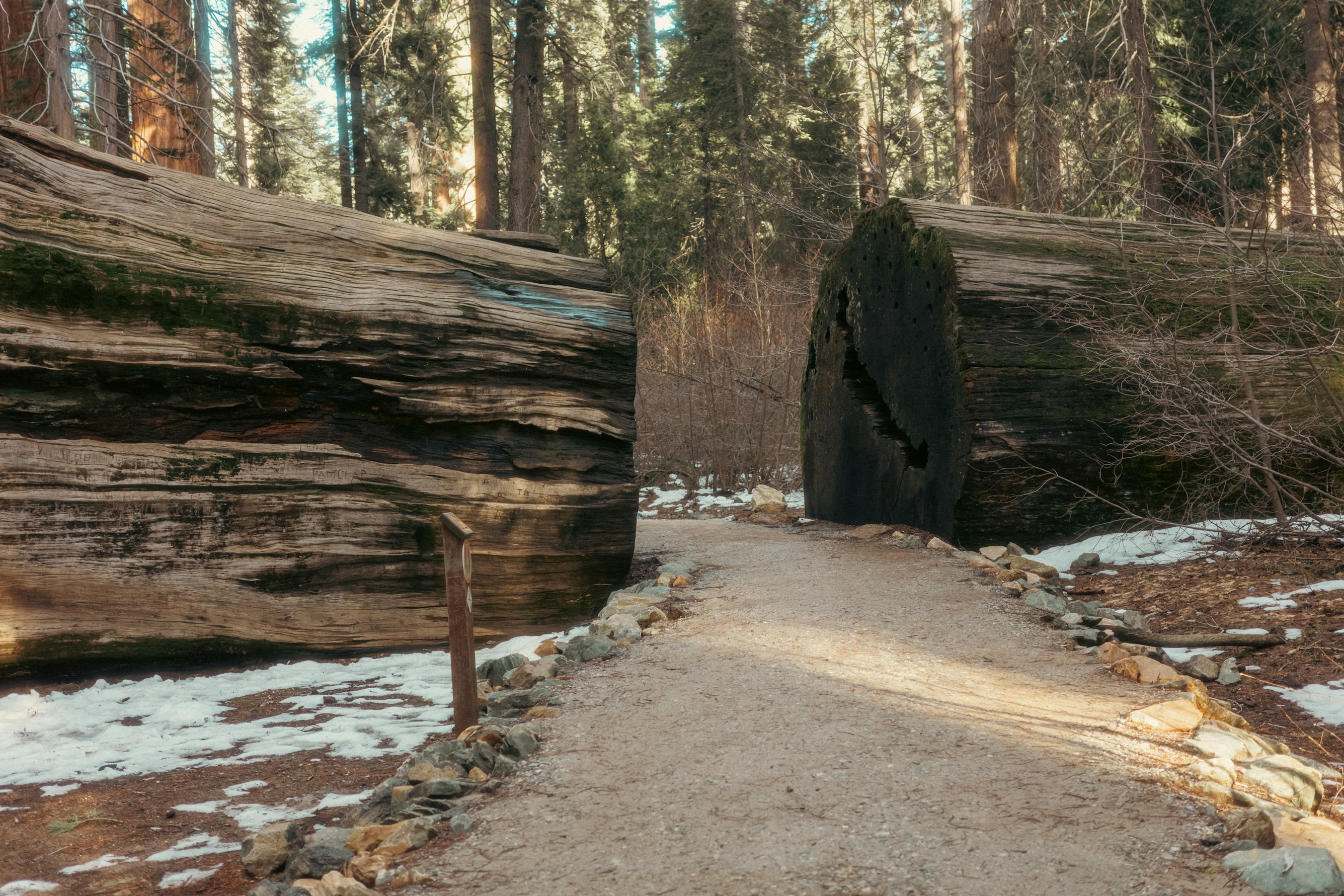 Images from the The Slow Lane article on Abduzeedo