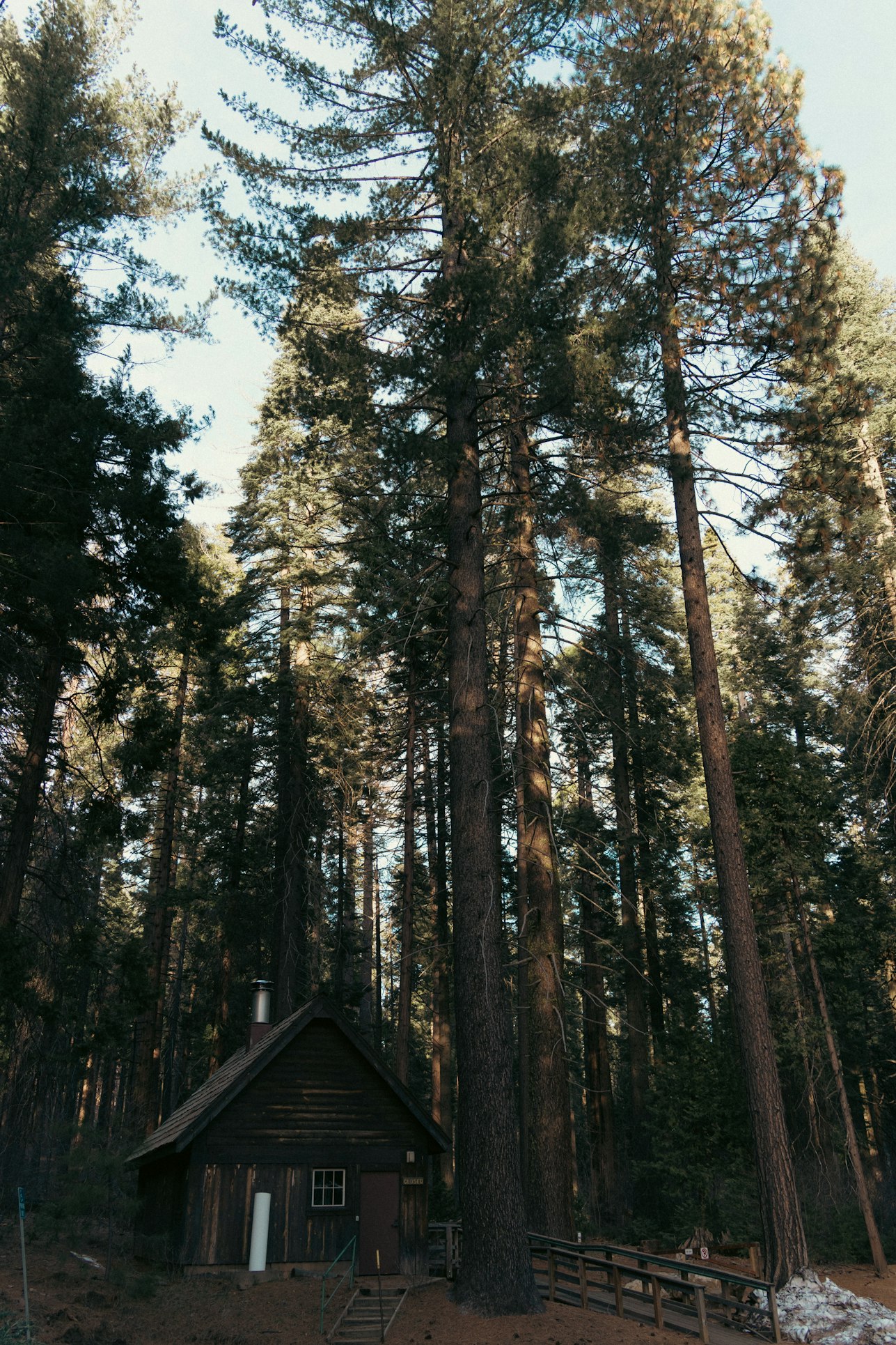 Images from the The Slow Lane article on Abduzeedo