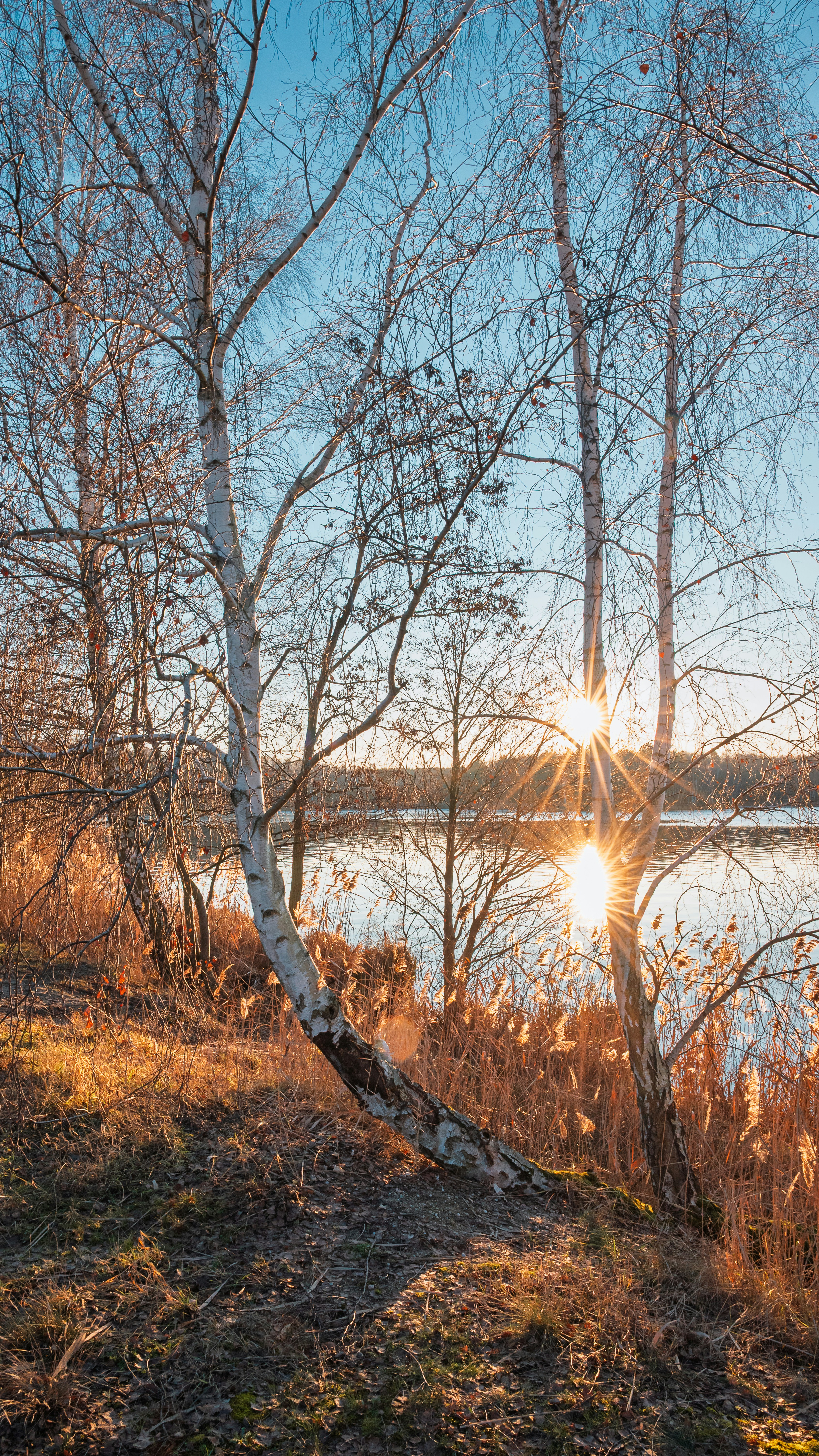 Photo by jetztabertempo