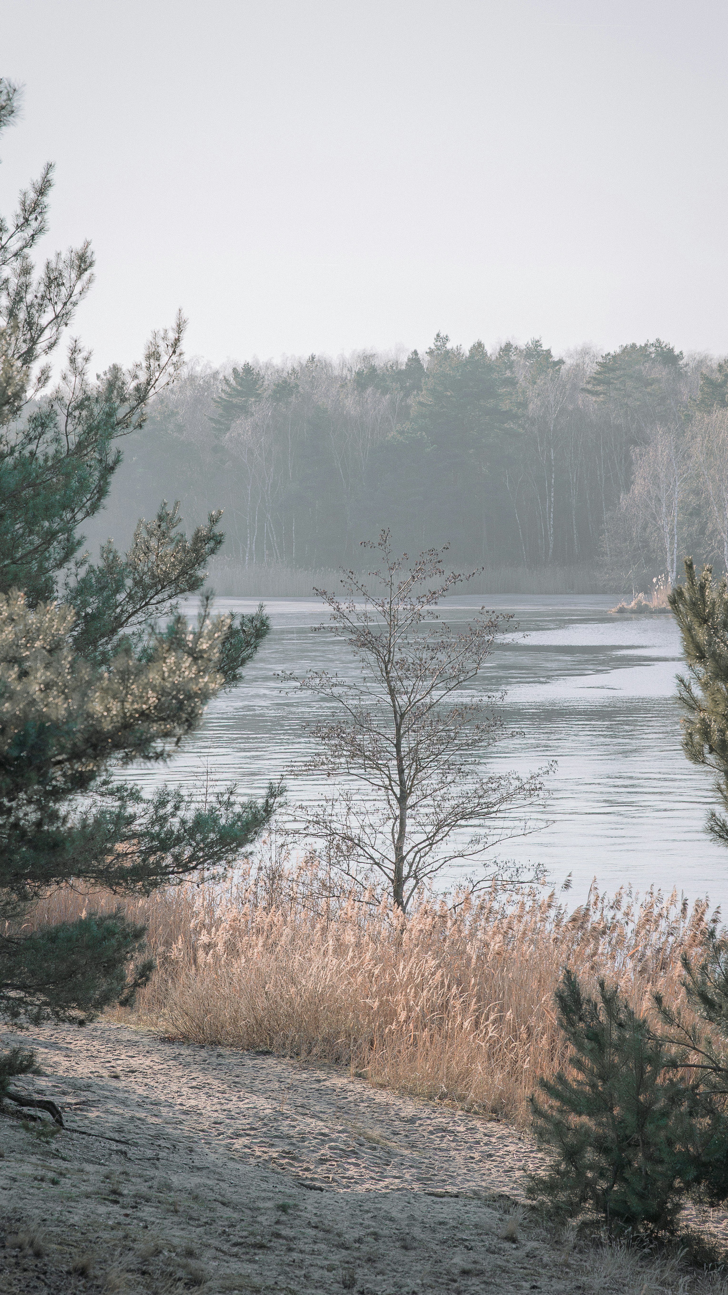 Photo by jetztabertempo