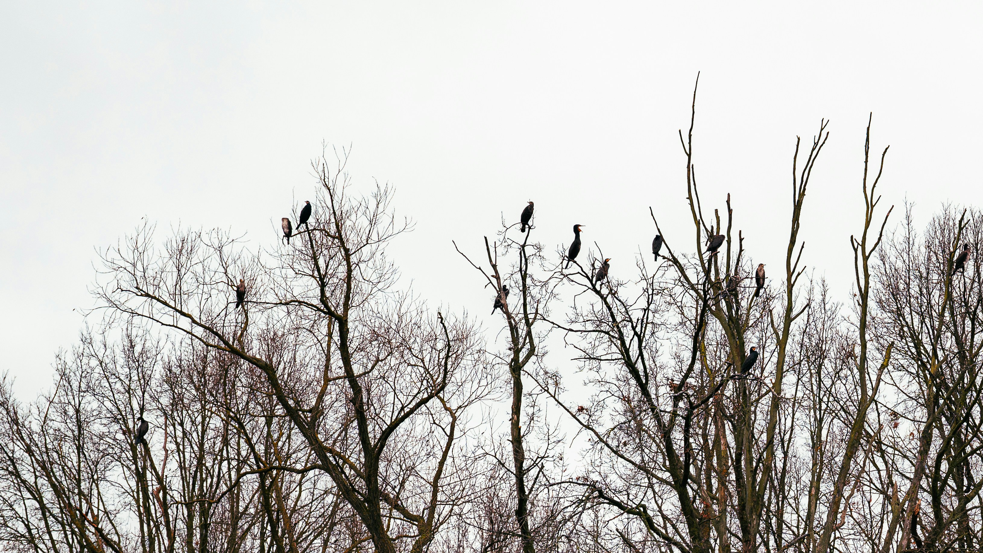 Photo by jetztabertempo