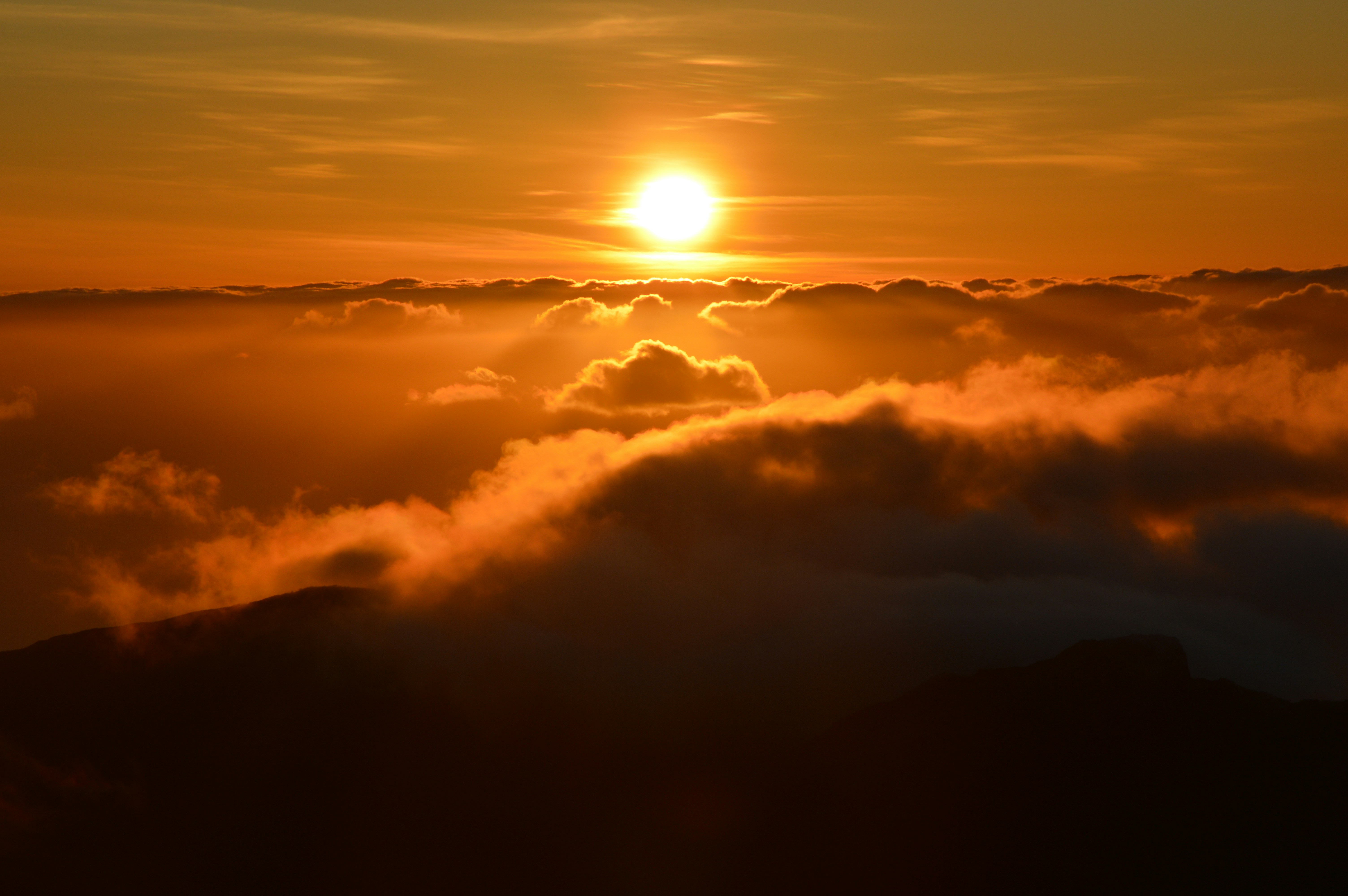 Photo by maddalena_rabanser