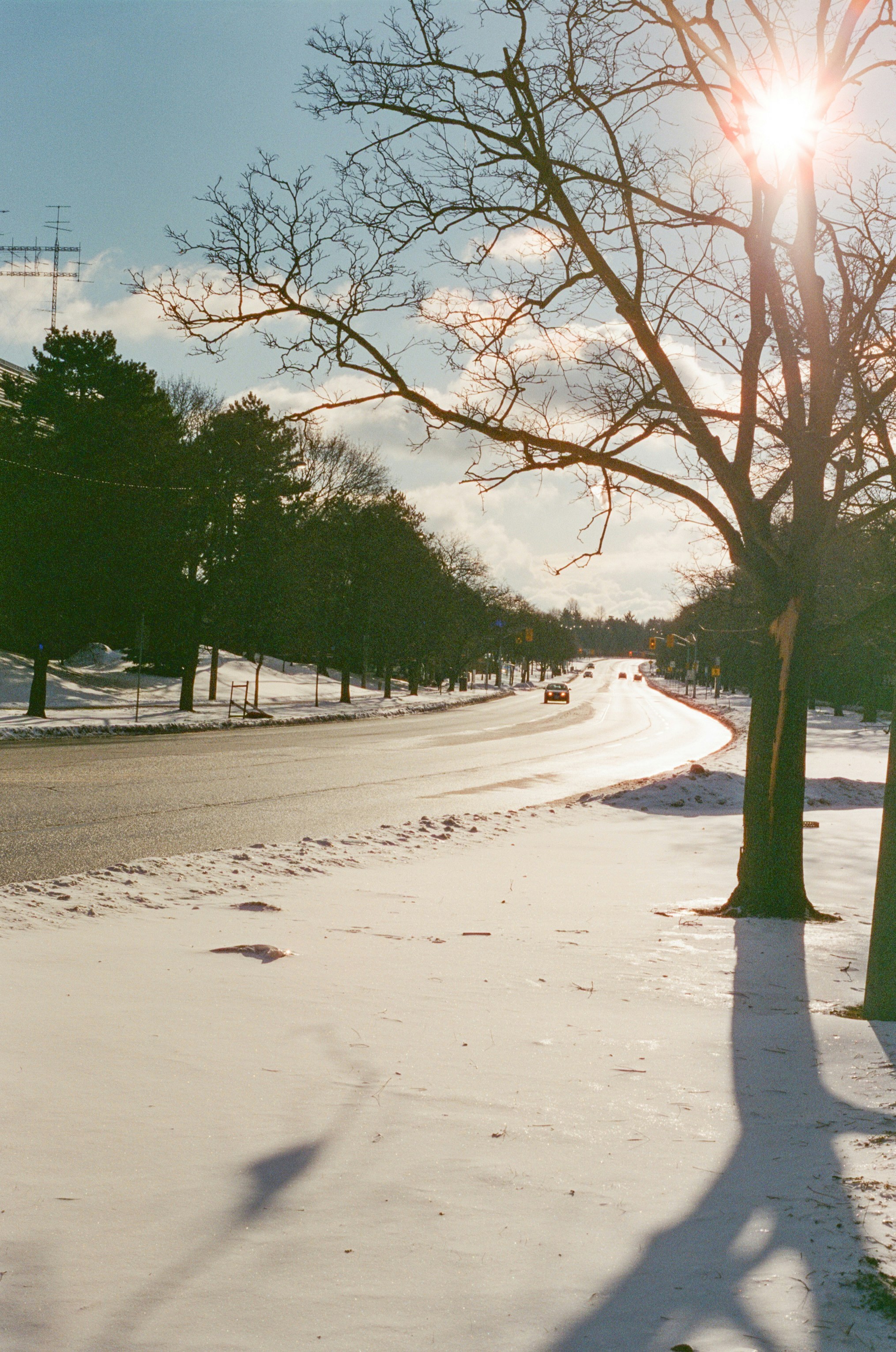 Sunlight shines on a snow-covered road with trees.