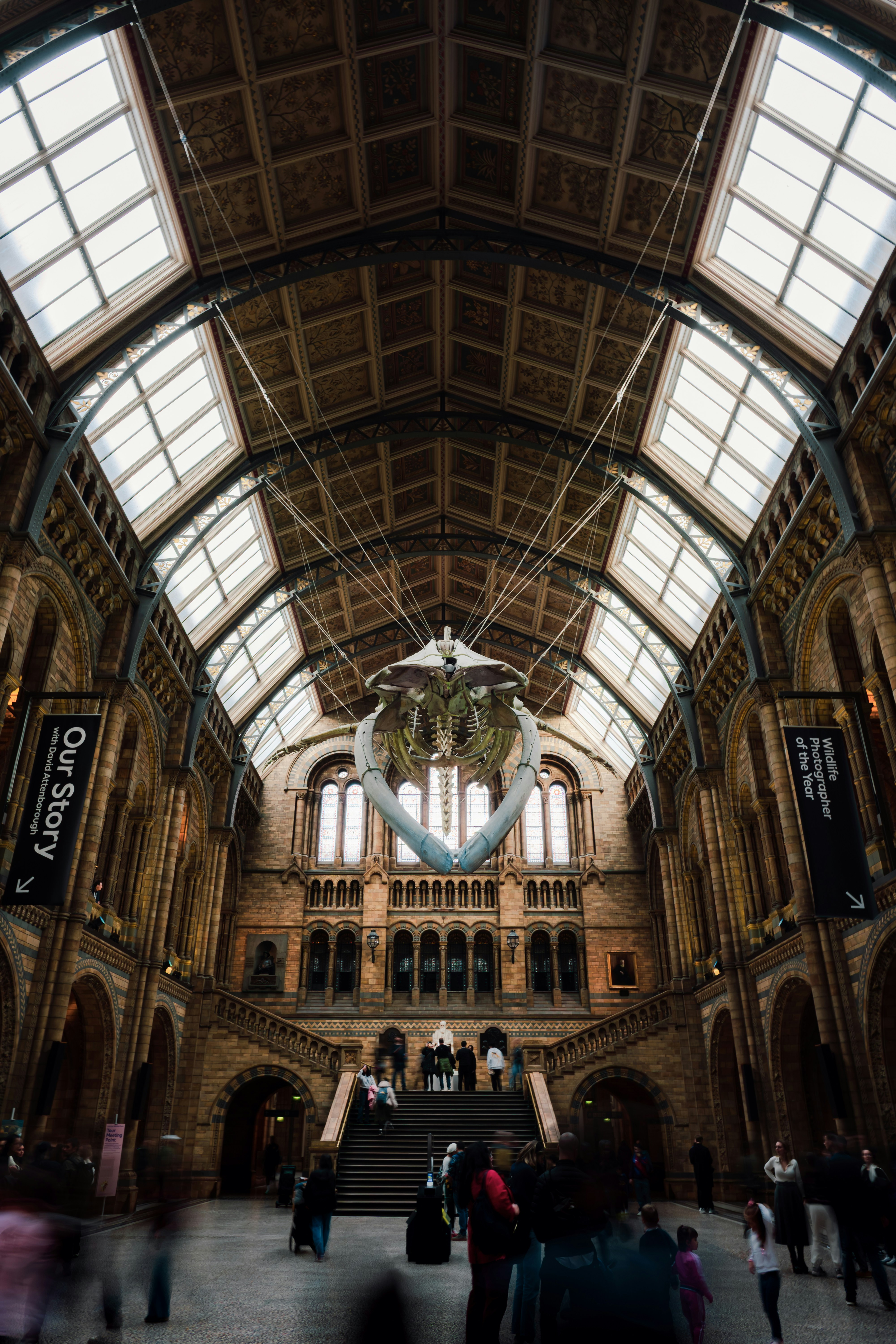 Gran salón del museo con esqueleto de ballena suspendido