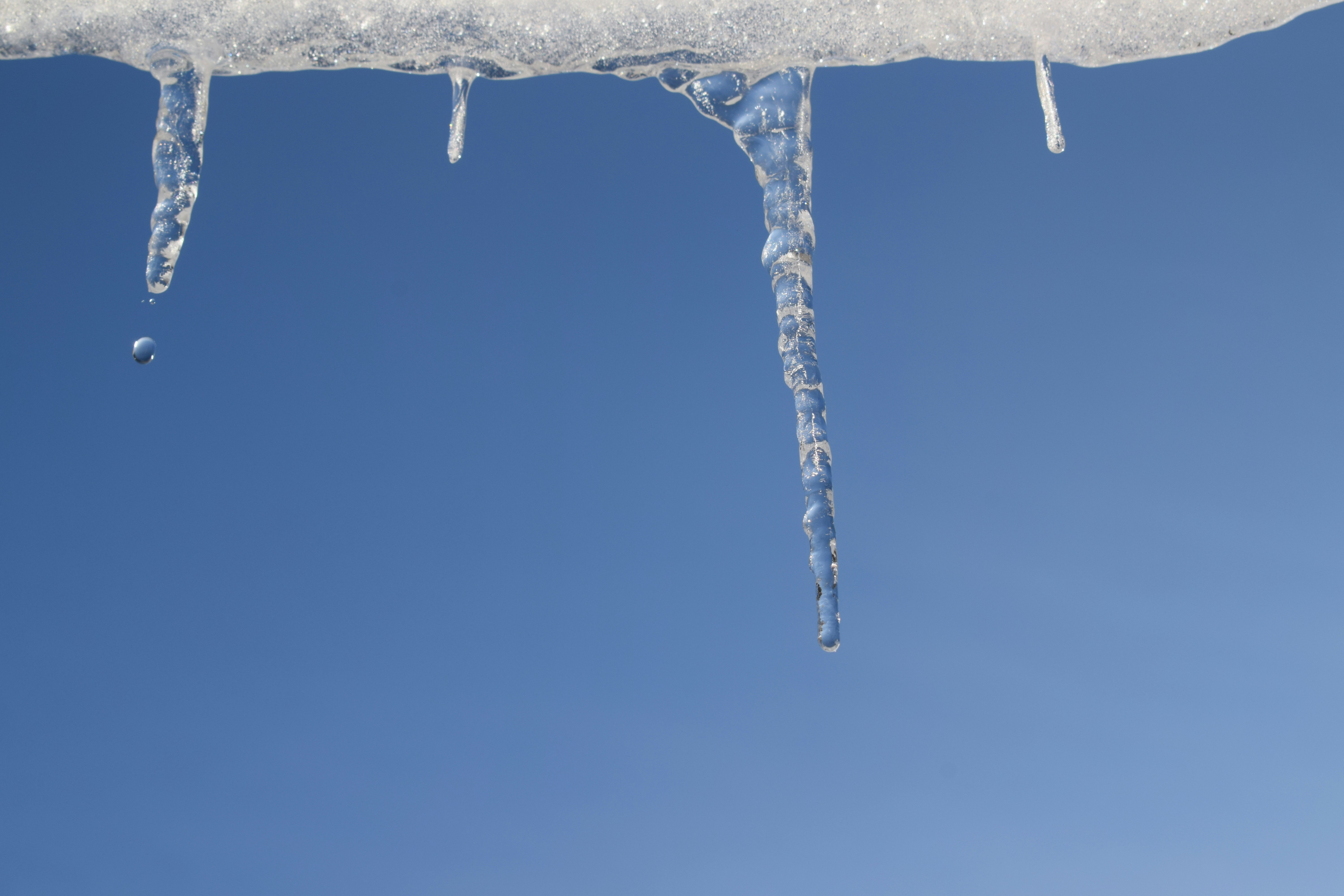 Photo by kristina001