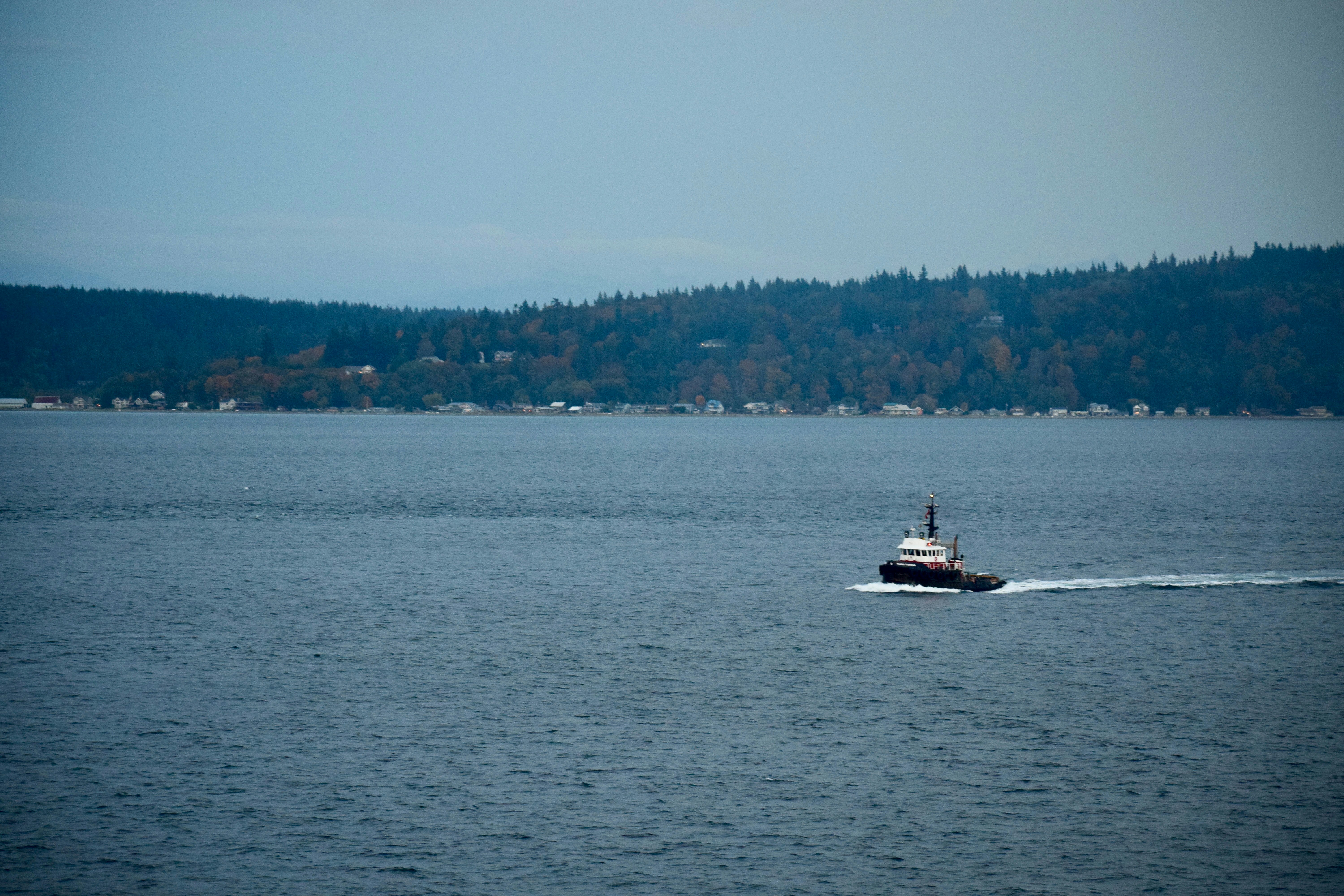 Photo by dannyboy4125