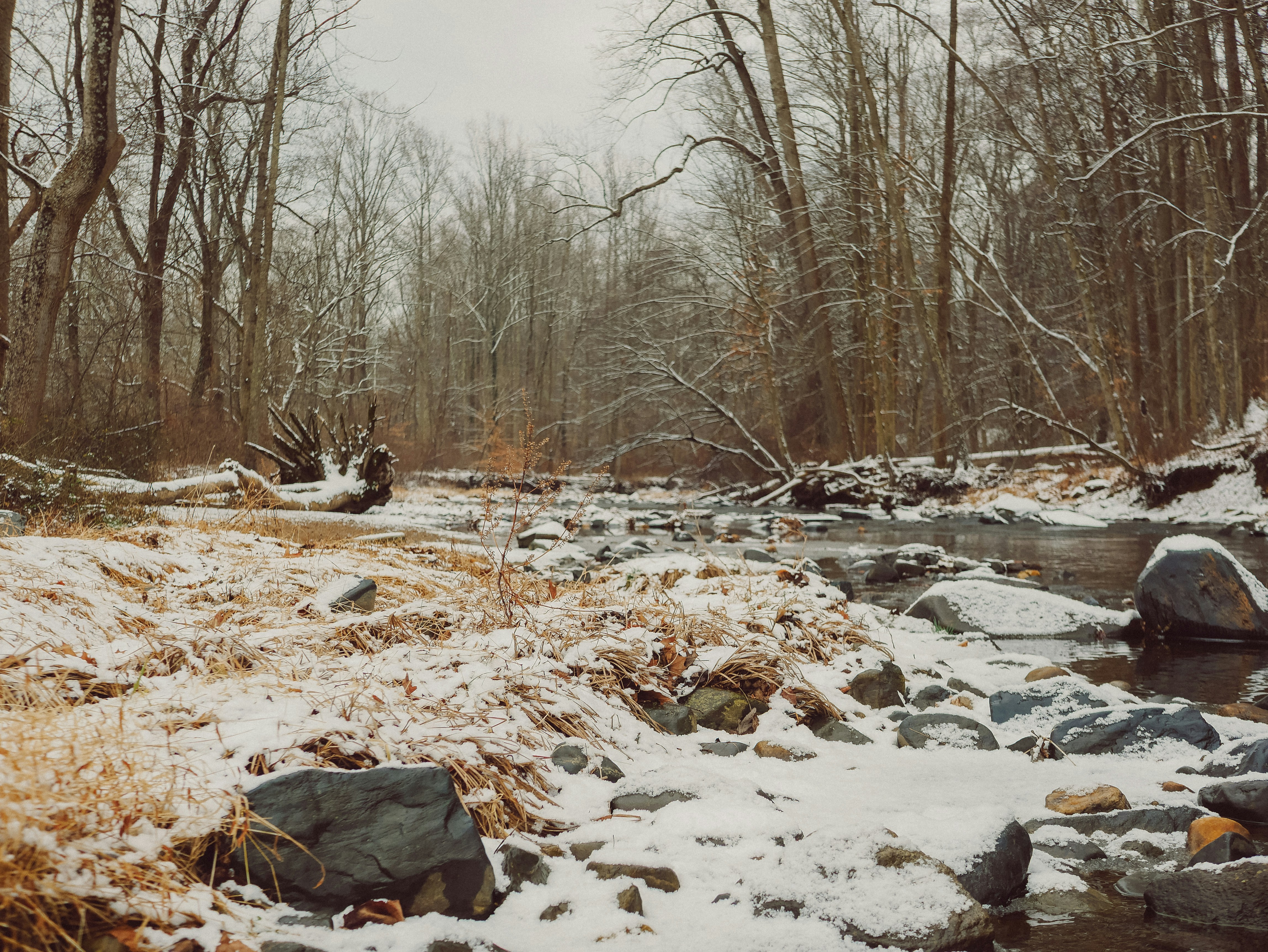 Photo by michaeleufemia