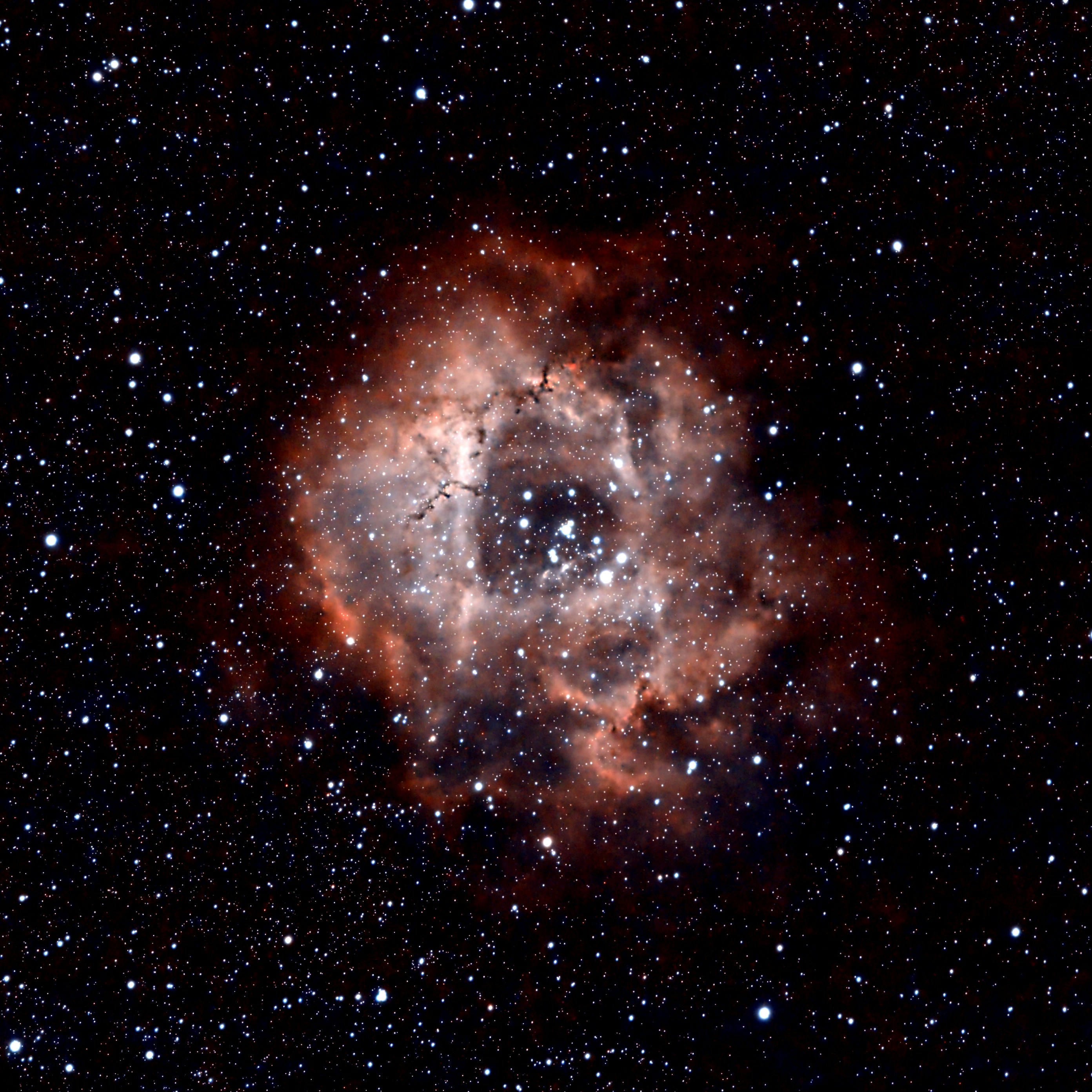 Rosette nebula in the night sky