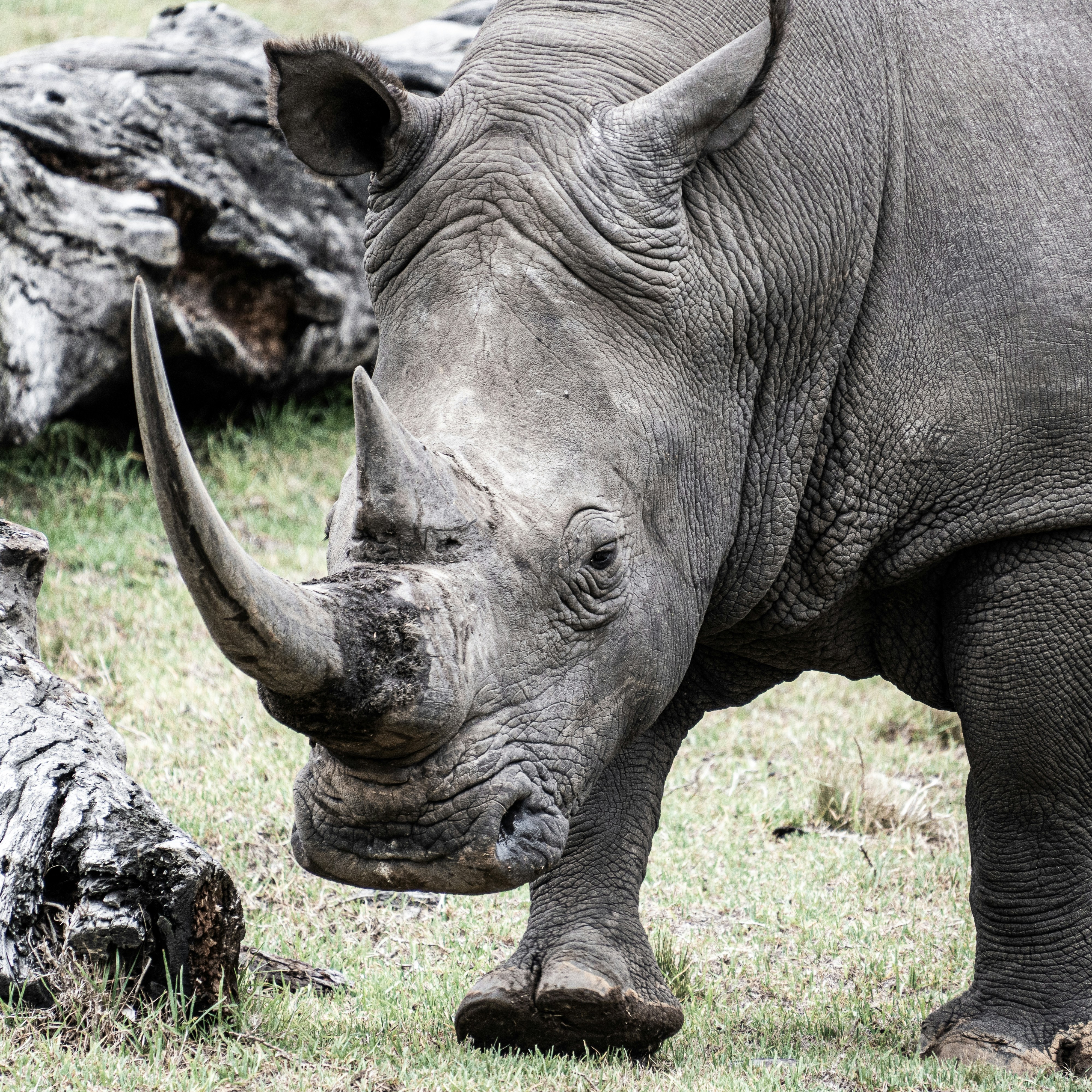 Photo by yikaisun_0831