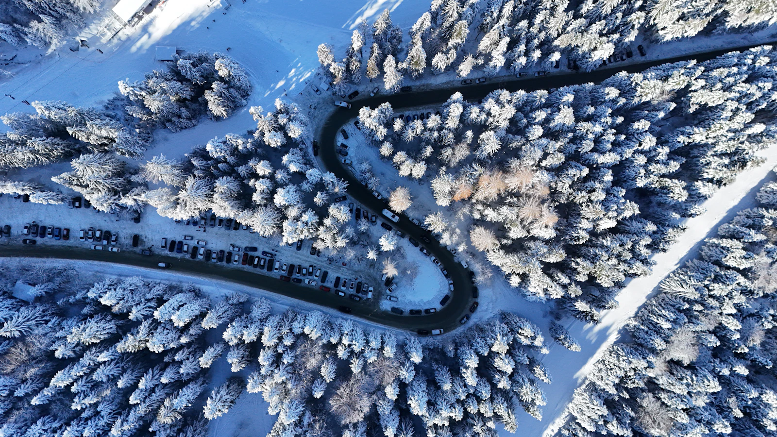 Cazare în Borovets: drum de munte cu serpentine prin pădurea înzăpezită