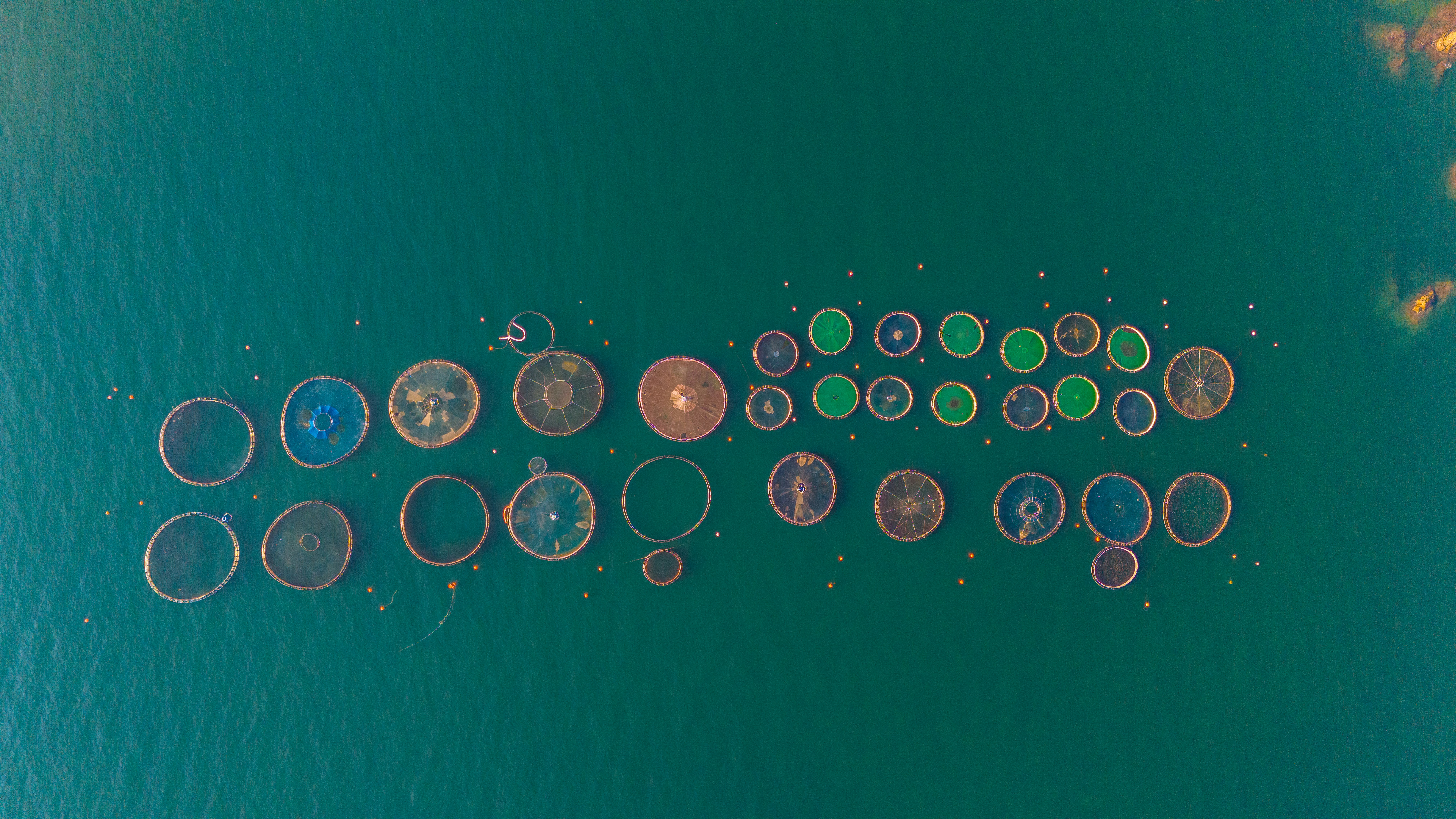 A dramatic, cinematically lit photo of a chessboard with several fallen pieces, symbolizing a major shift in strategy and the end of a game.