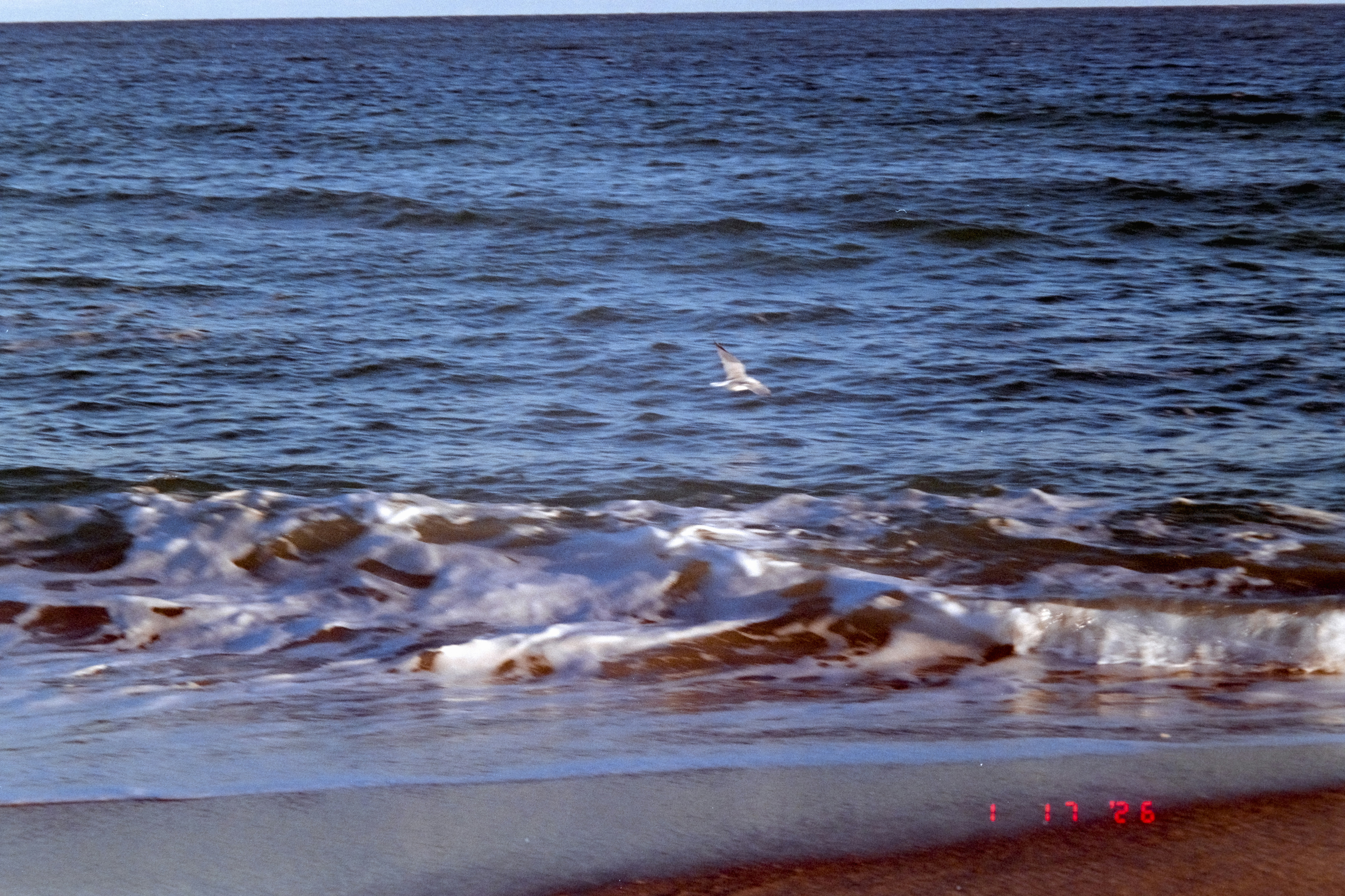 Photo by brookebalentine