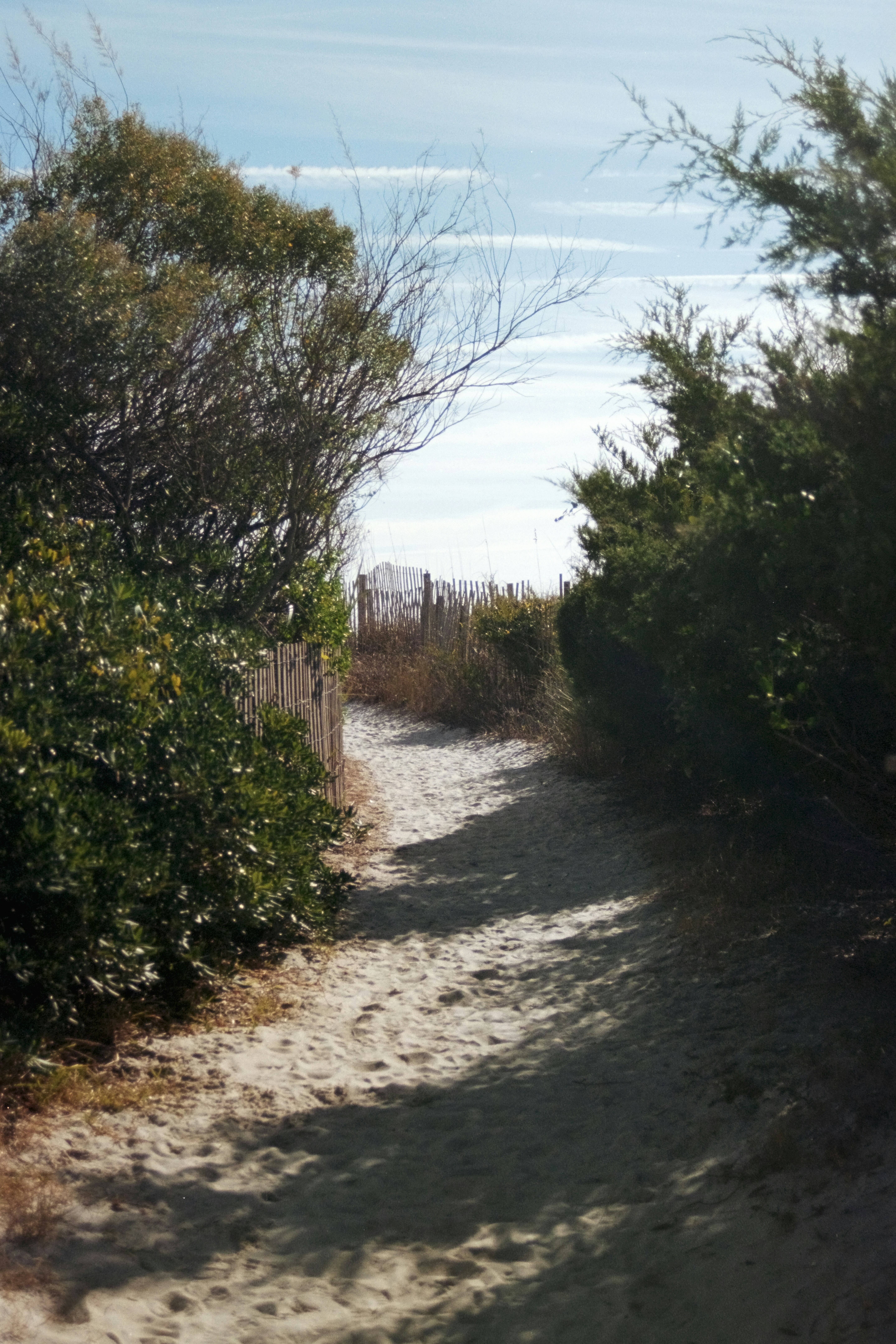 Photo by brookebalentine