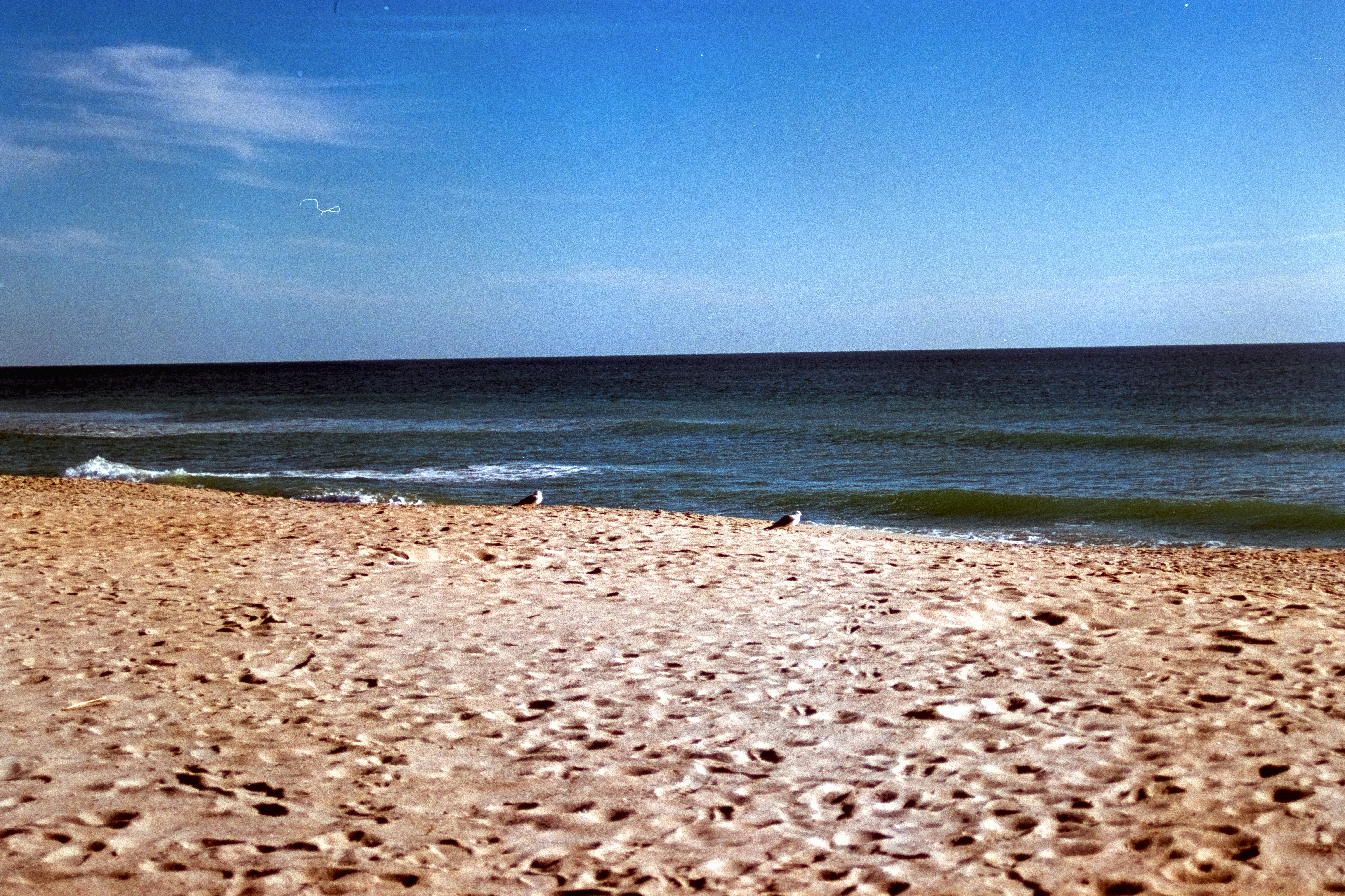 Photo by brookebalentine