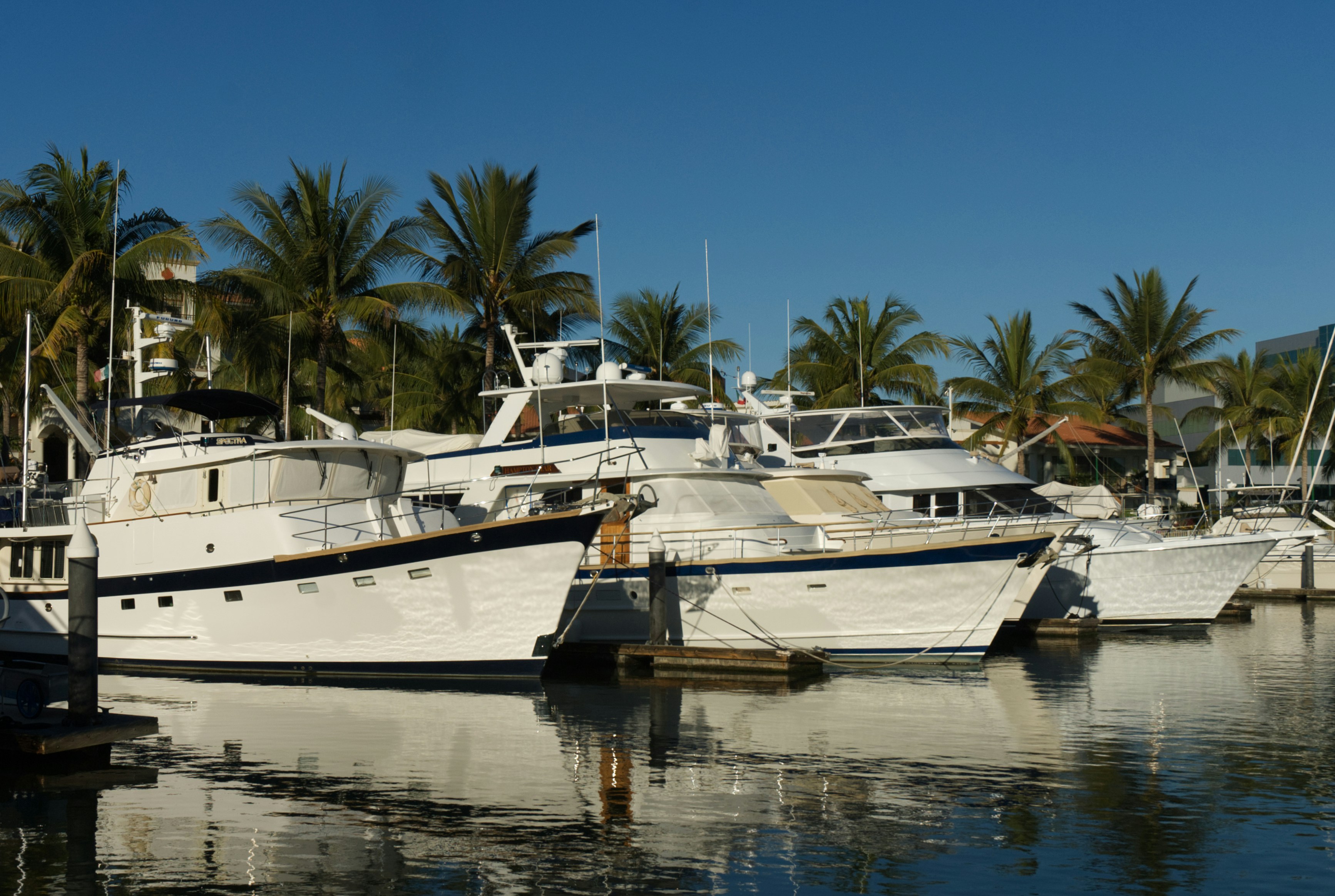 Several yachts docked in a sunny harbor with palm trees.