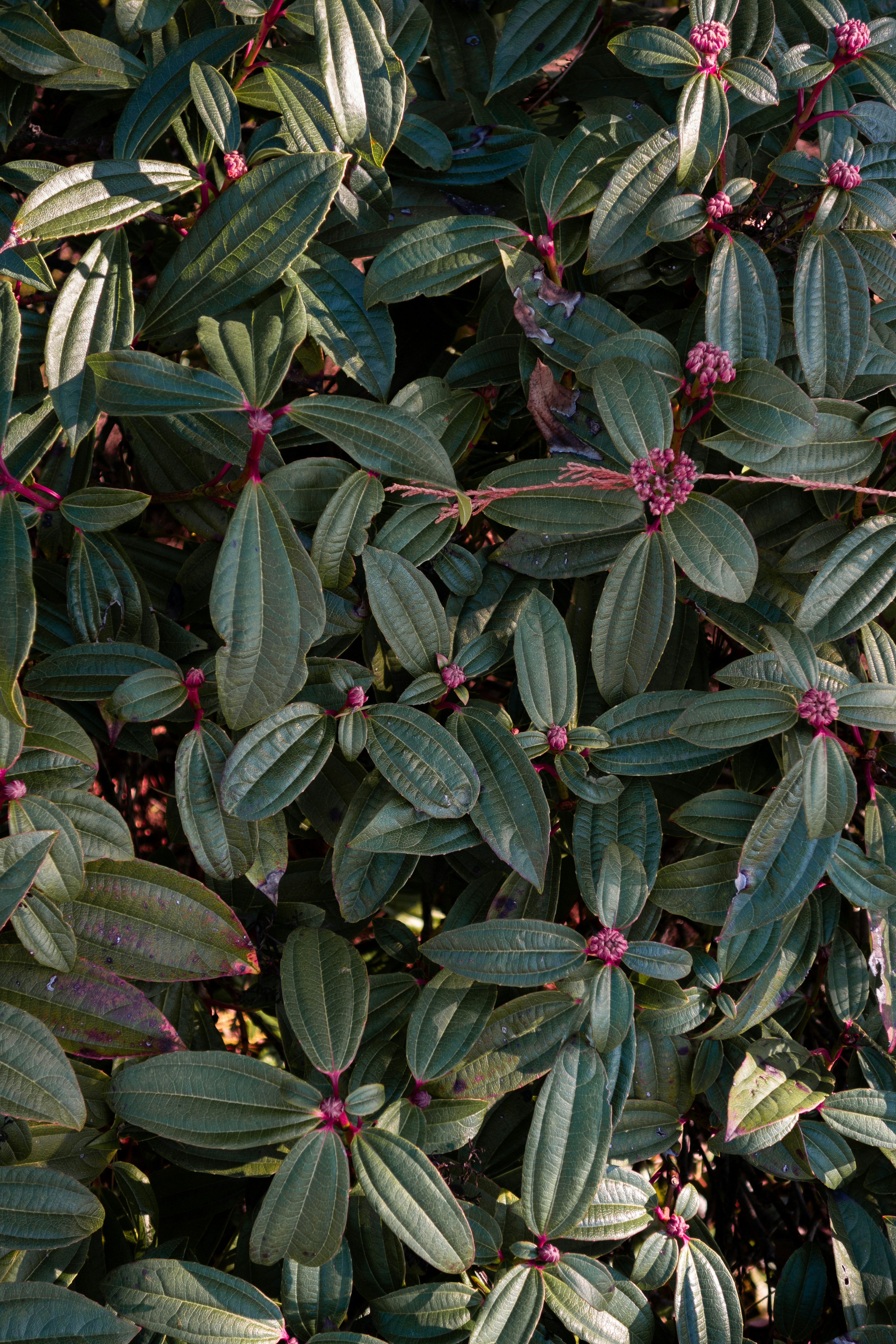 Photo by jamessestric