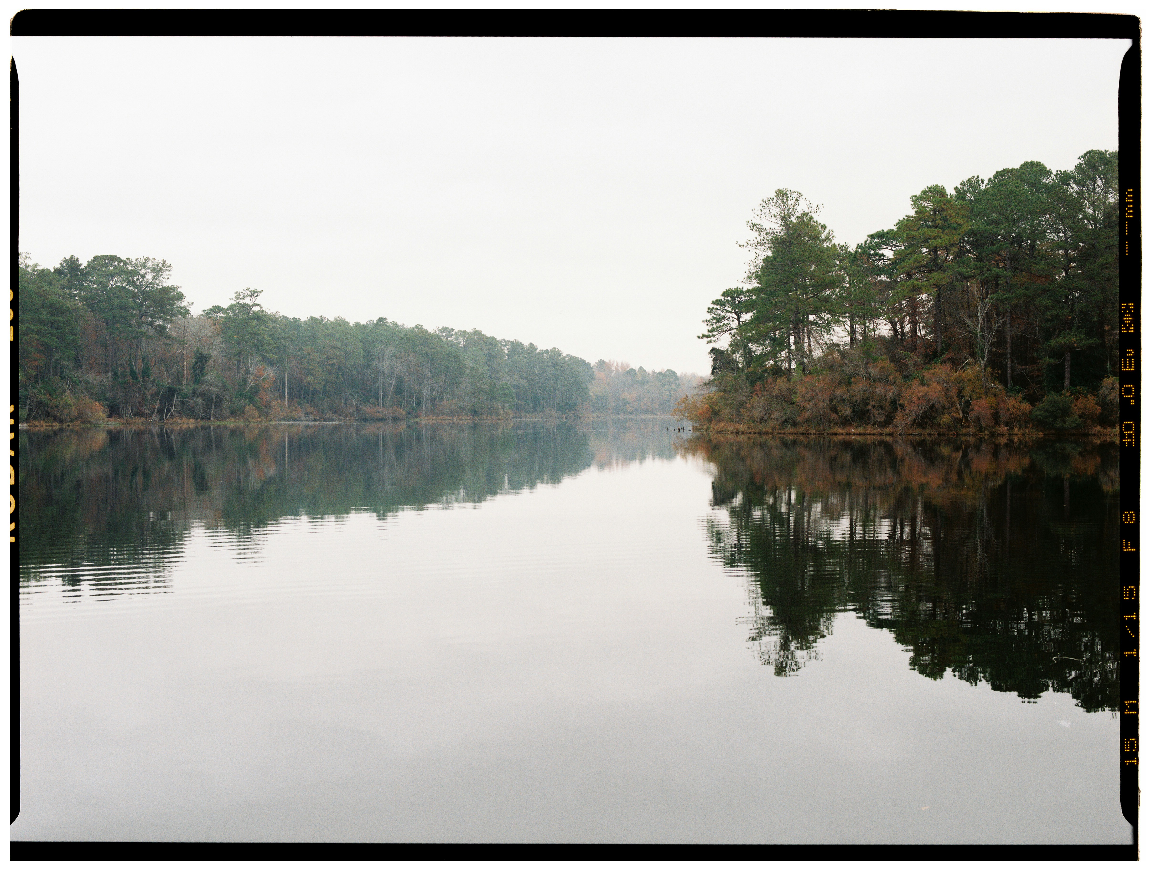 Calm lake reflecting trees on a cloudy day photo – Free Forest Image on ...