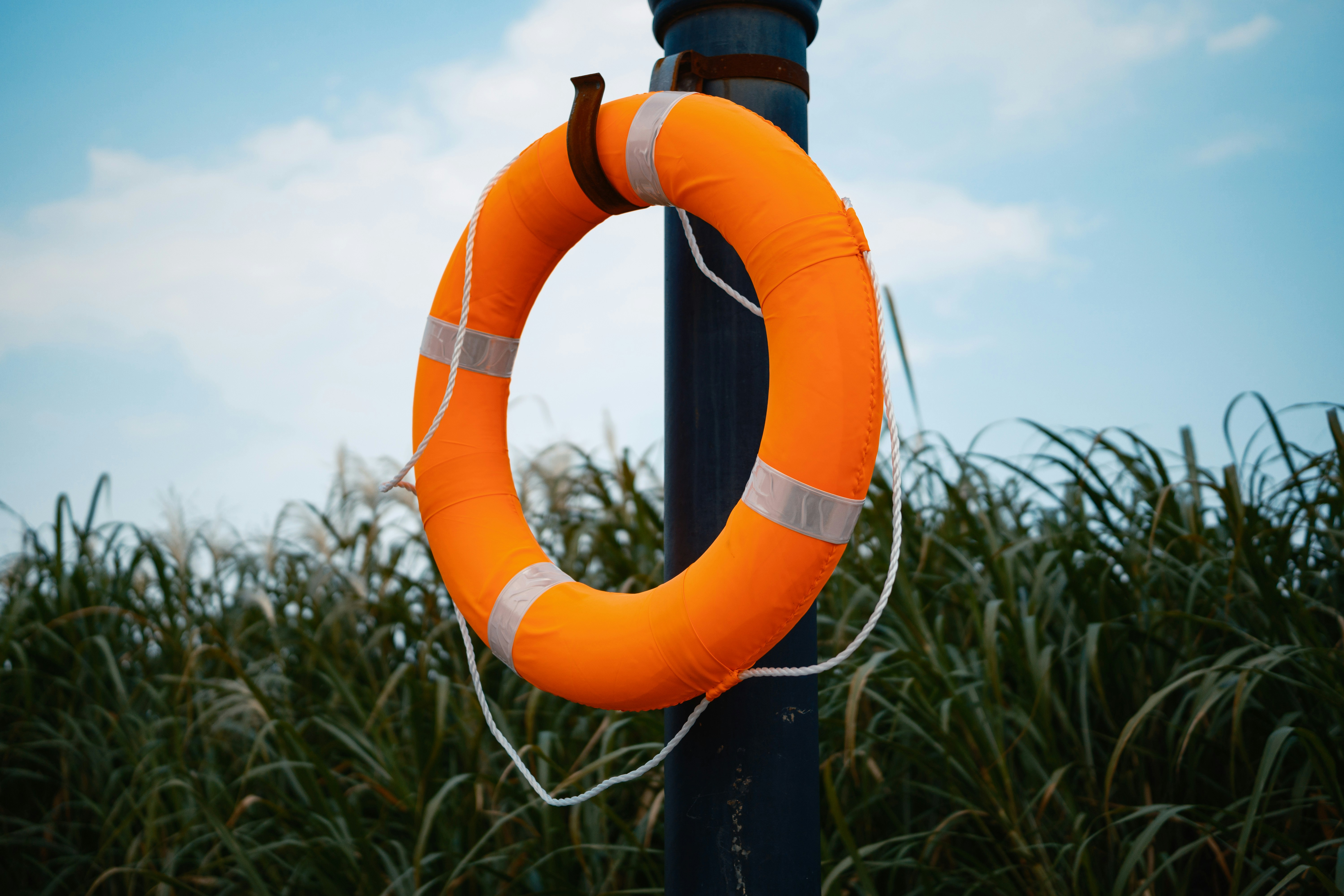 The Placebo Problem: Do 3D-Scanned Insoles and Other Wellness Gadgets Actually Improve Beauty Outcomes?