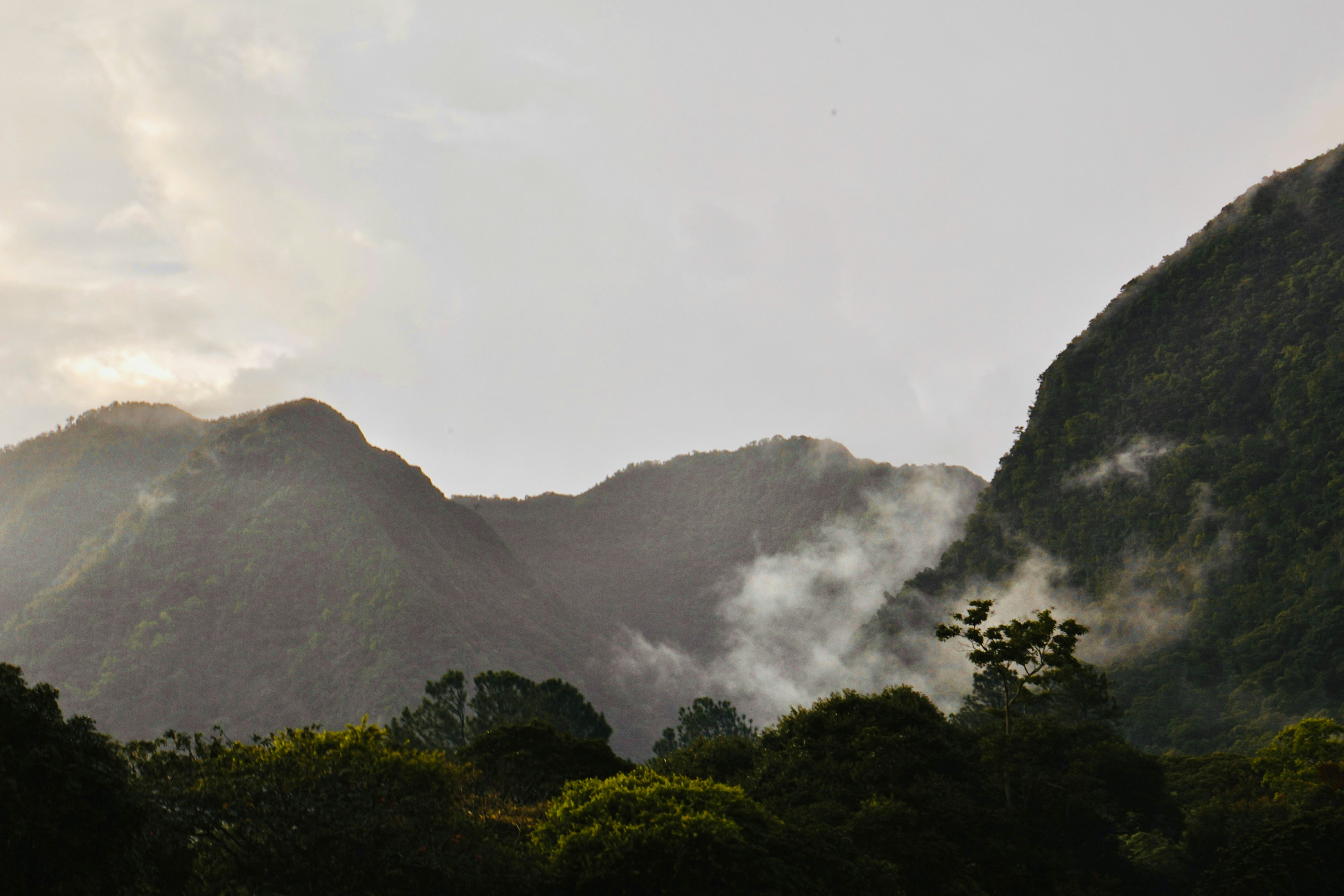 Scenery