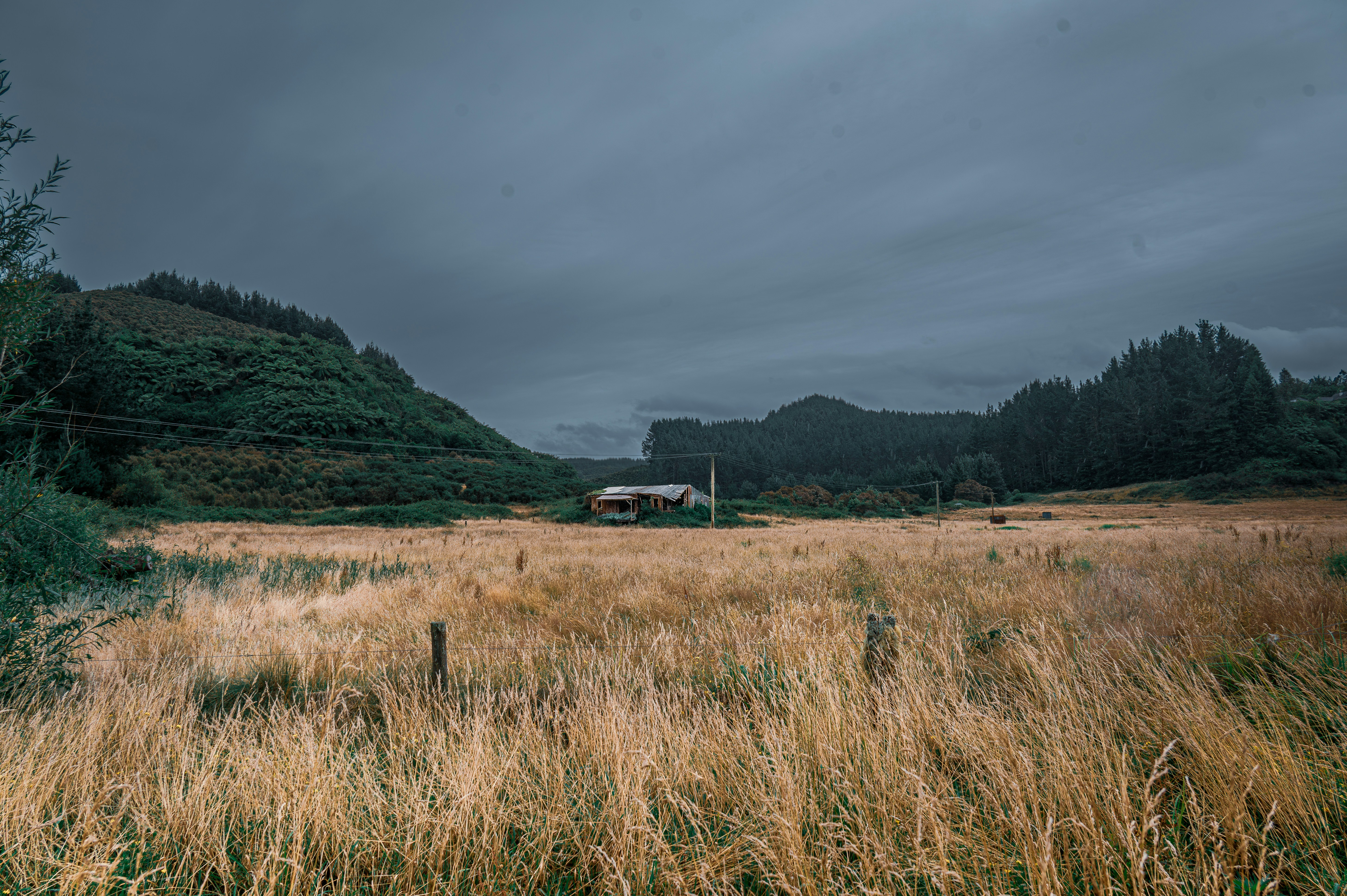 A solitary house sits in a dry, grassy field.