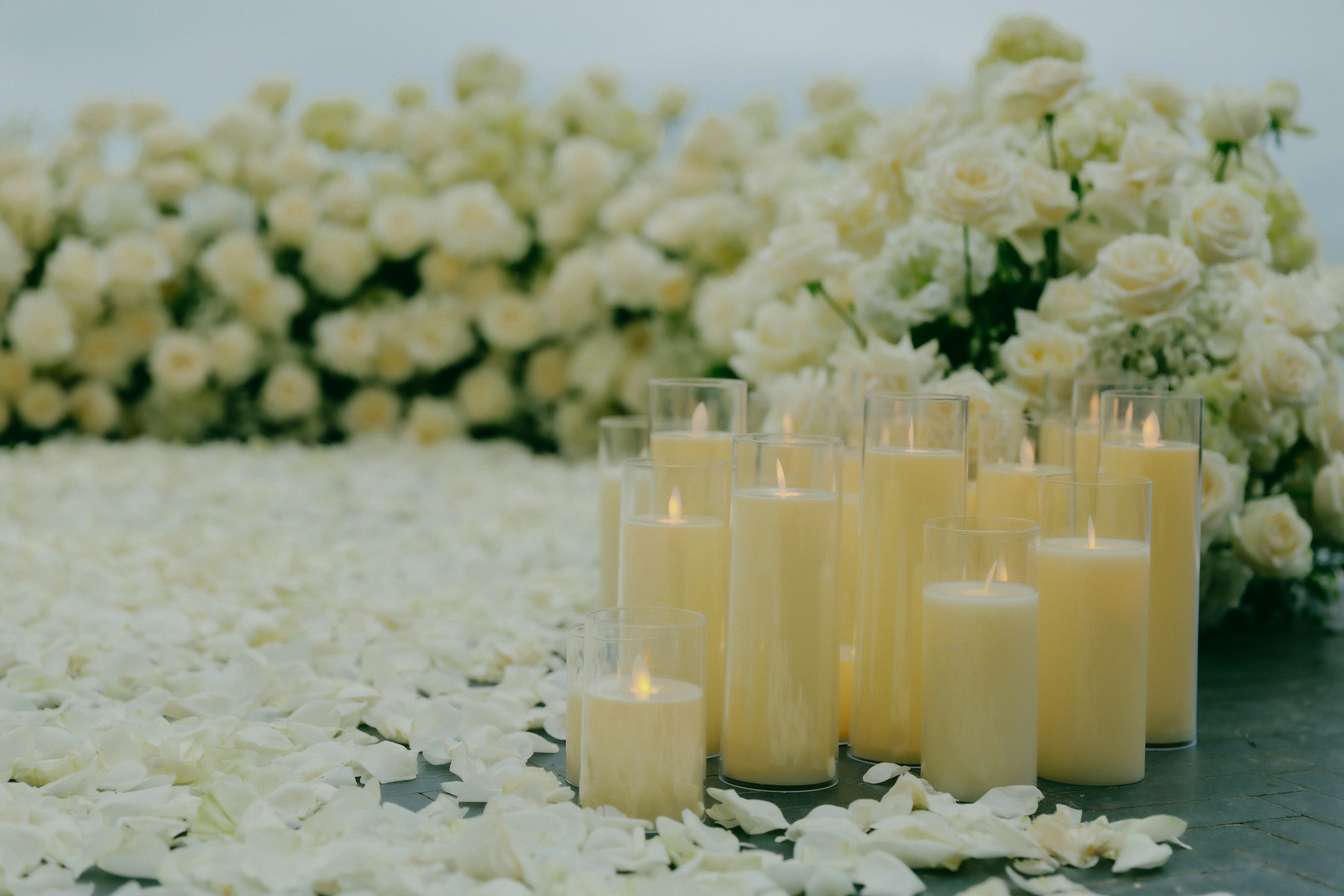 Mémorial pour chat avec fleurs et bougie, évoquant le recueillement après le décès d'un animal de compagnie