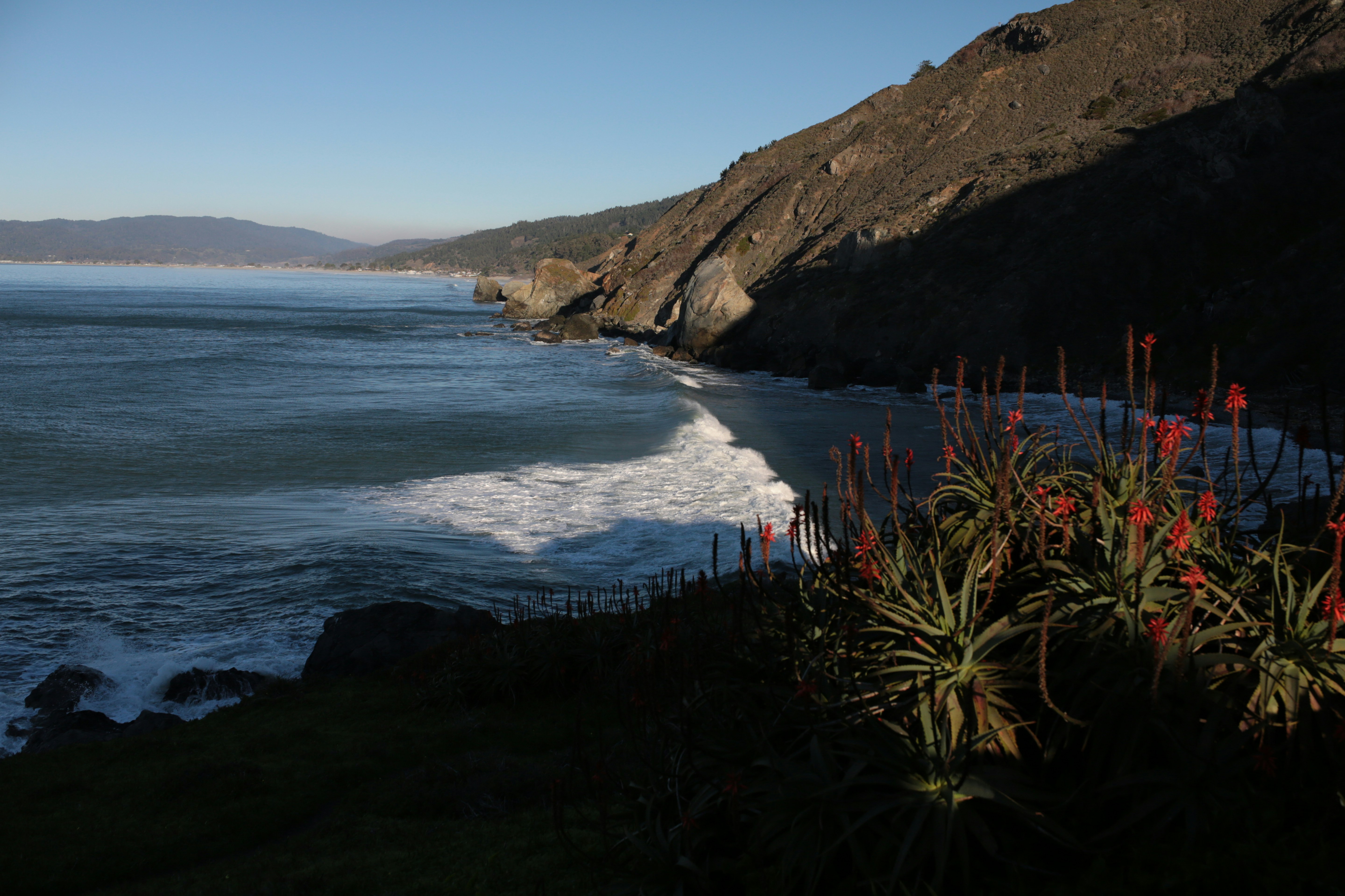 Ocean waves crash against a rocky coastline with plants.