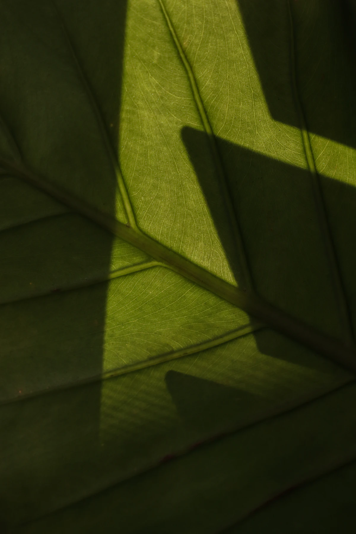 Editorial photograph: a woman's lower body, natural light, warm tones, dignified framing.