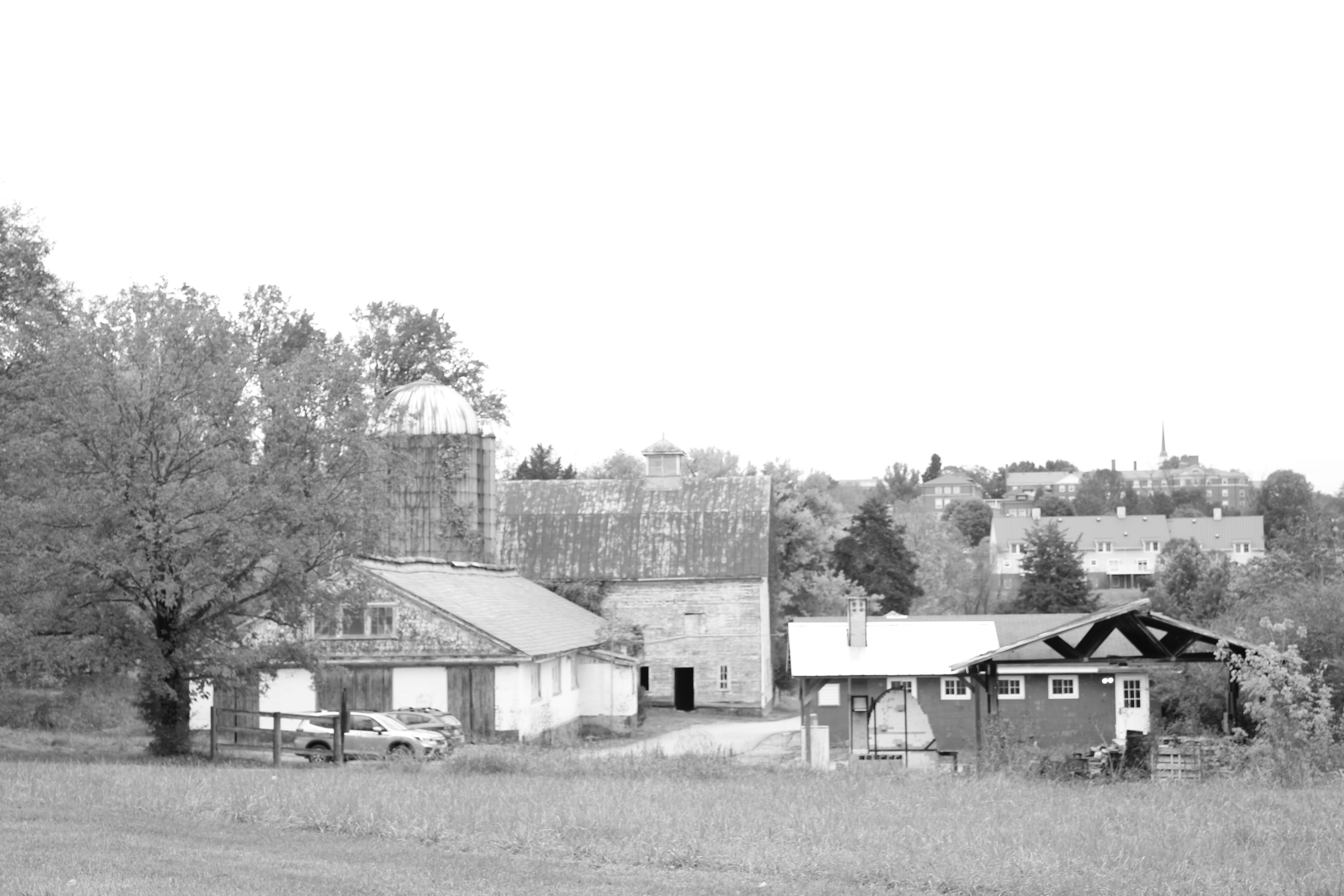 Photo by mcconvillek1